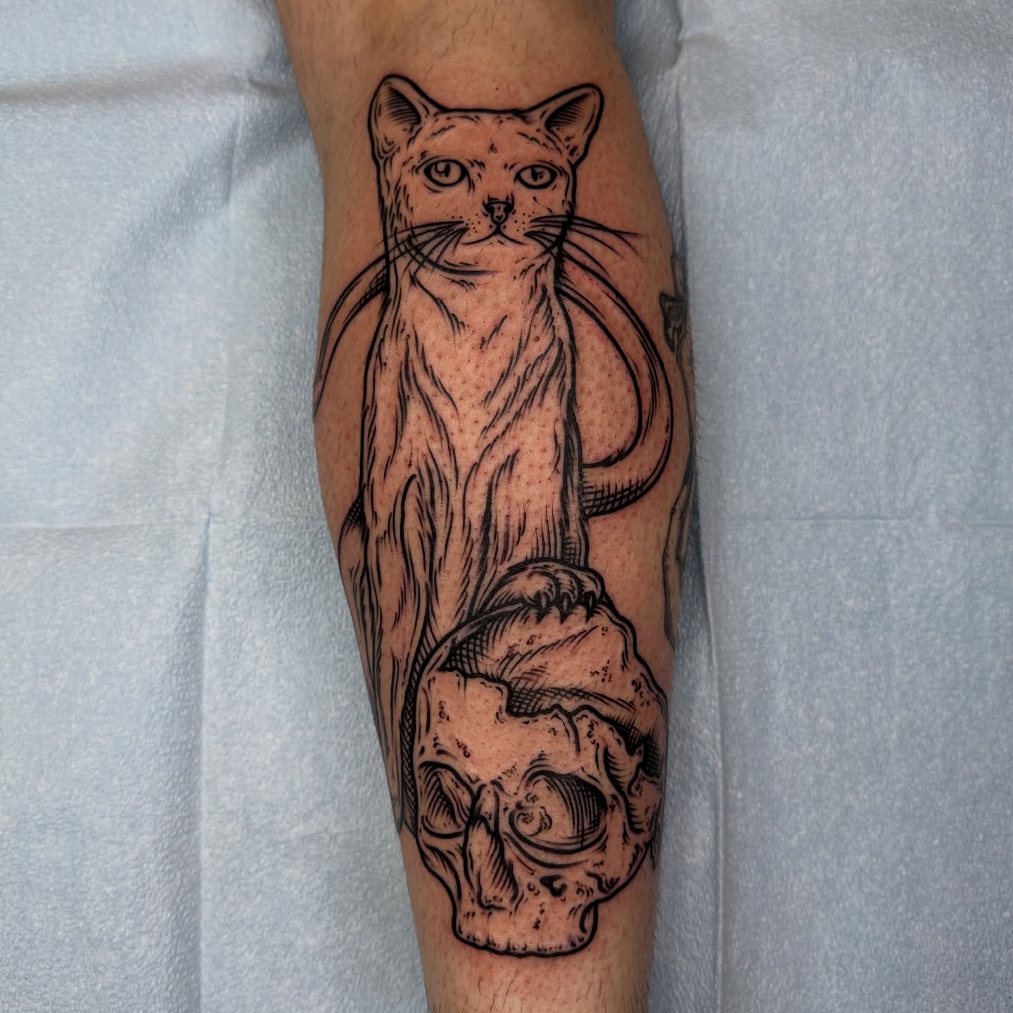 Cat and skull realism tattoo on the forearm by rosalie