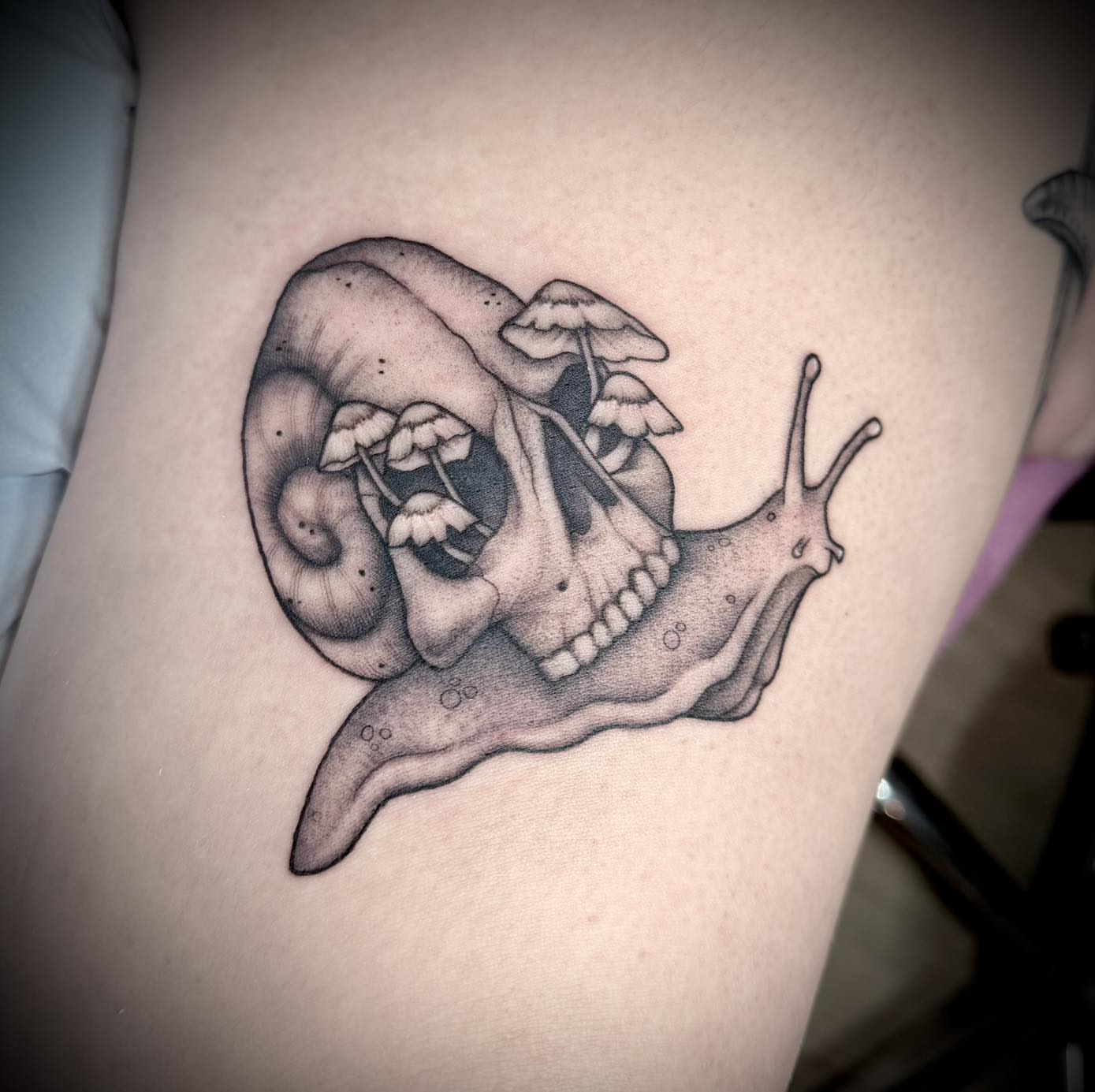 Tattoo by @shelly.elissa.tattoos — dotwork, black_and_grey