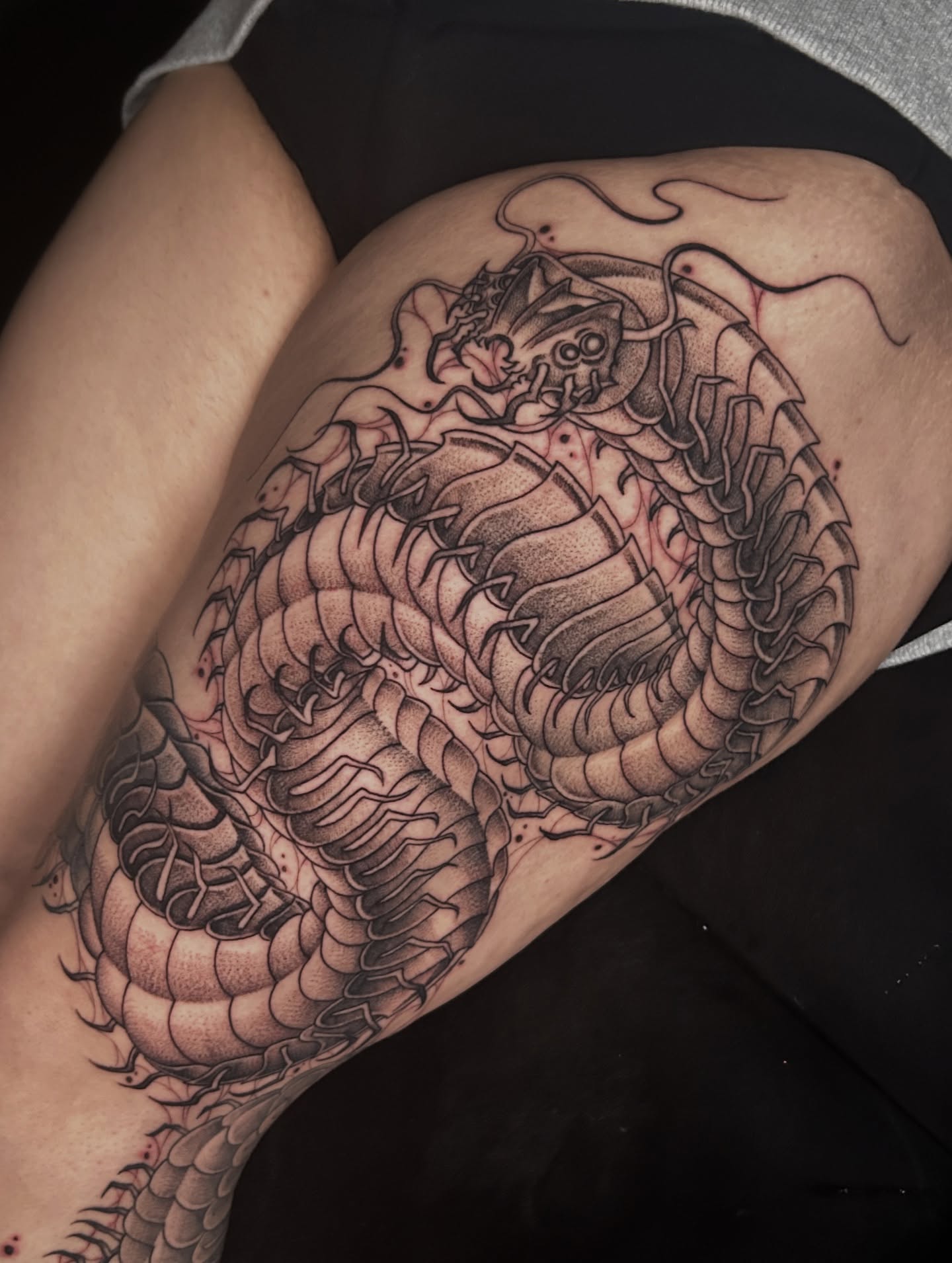 Dragon realism tattoo on the thigh by Cassy D, Miami, Florida