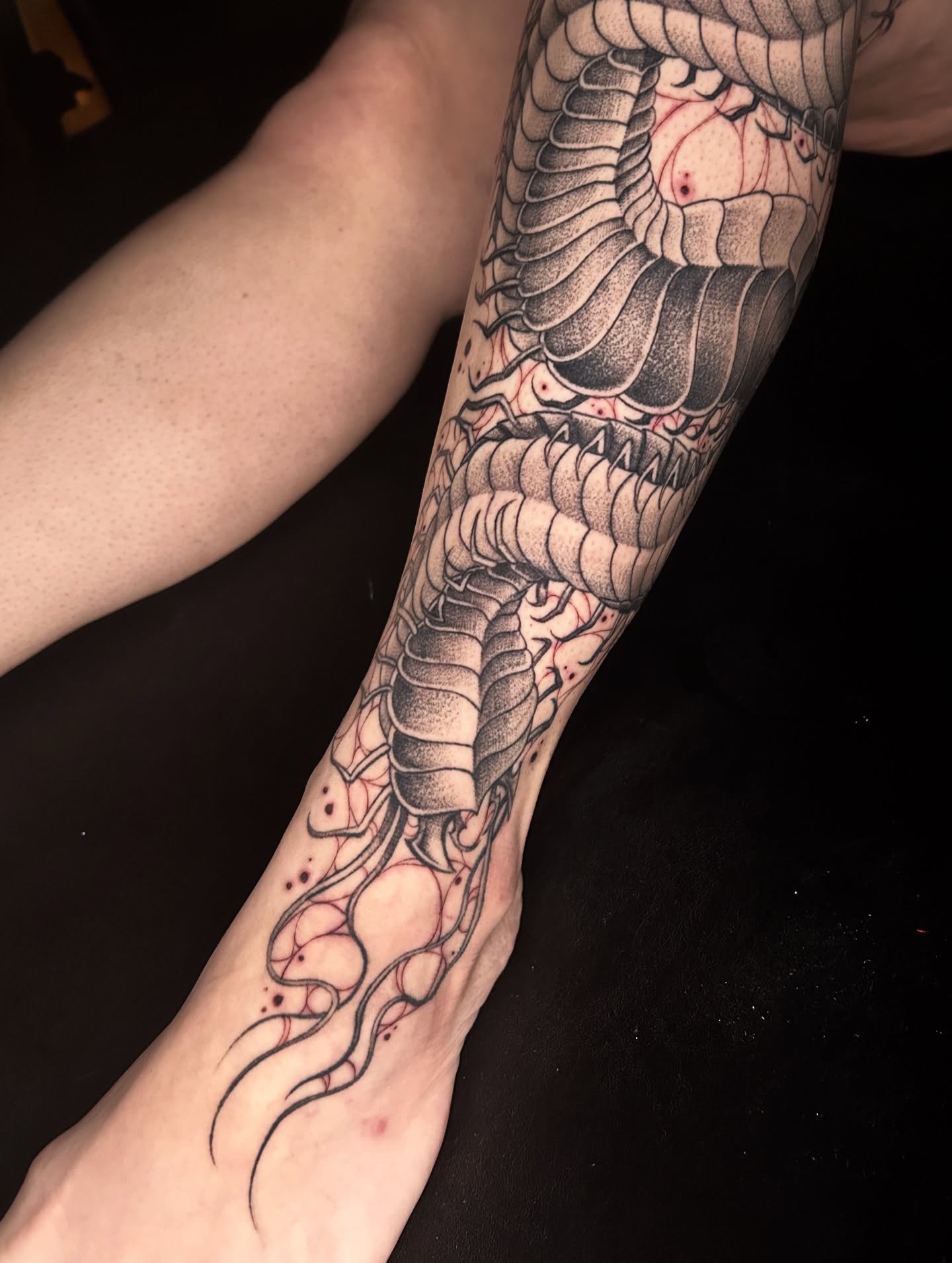 Serpent black and grey tattoo on the forearm by Cassy D, Miami, Florida