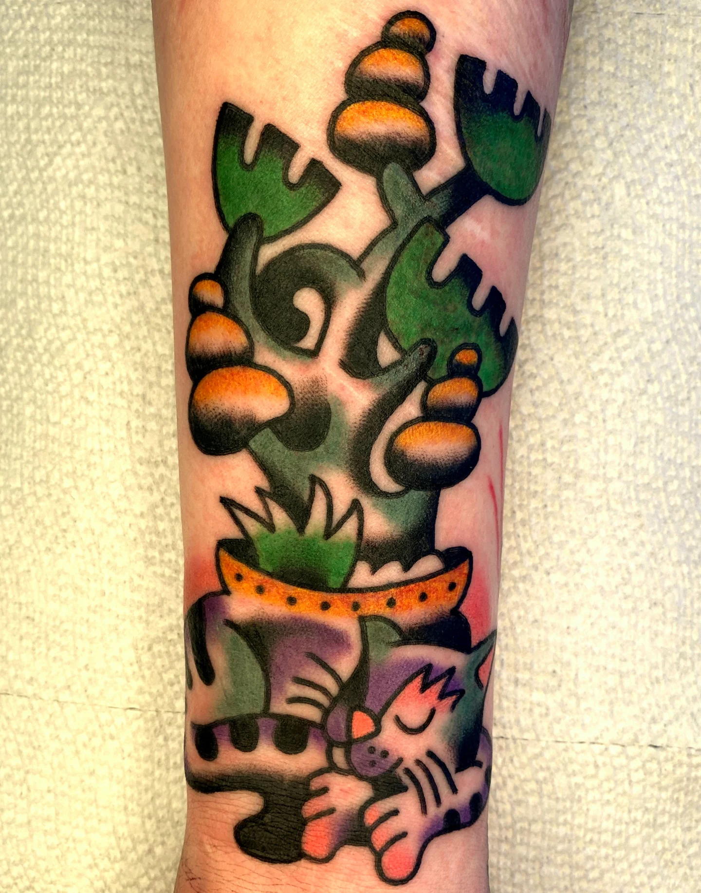 Cactus and cat American traditional tattoo on the forearm by Quinn, Kansas City, Missouri