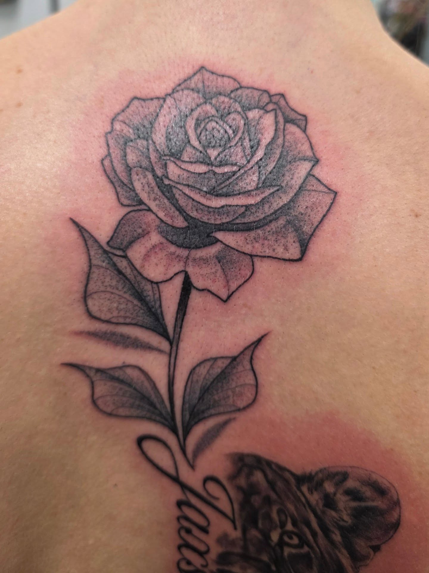 Tattoo by @nobodytattoosx — black_and_grey