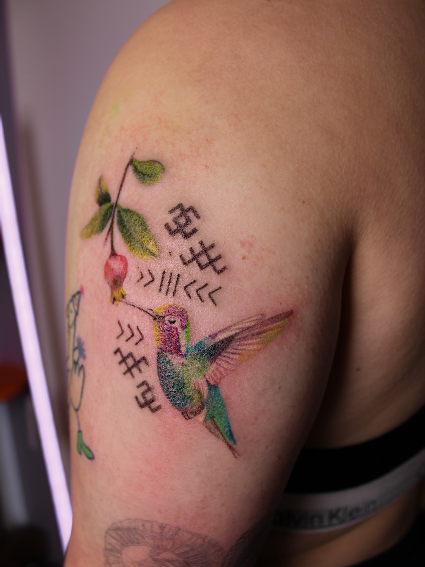 Hummingbird and pomegranate new school tattoo on the shoulder by Micah Light (color micro realism, Los Angeles, California