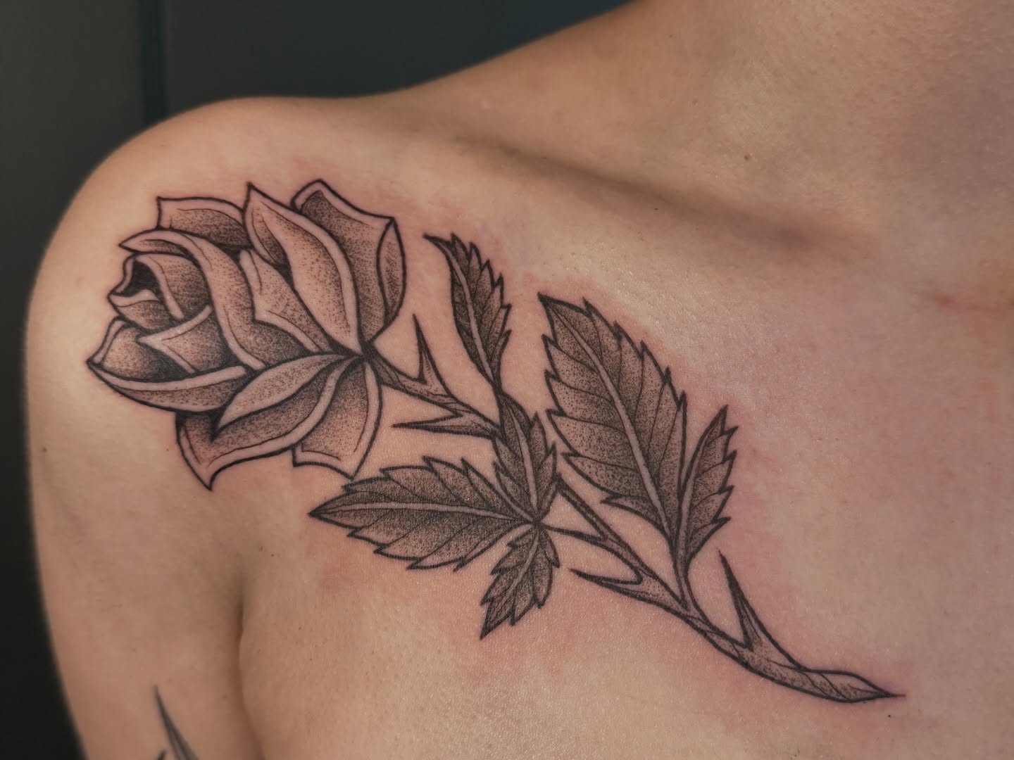 Rose dotwork tattoo on the shoulder by Paul DeVay