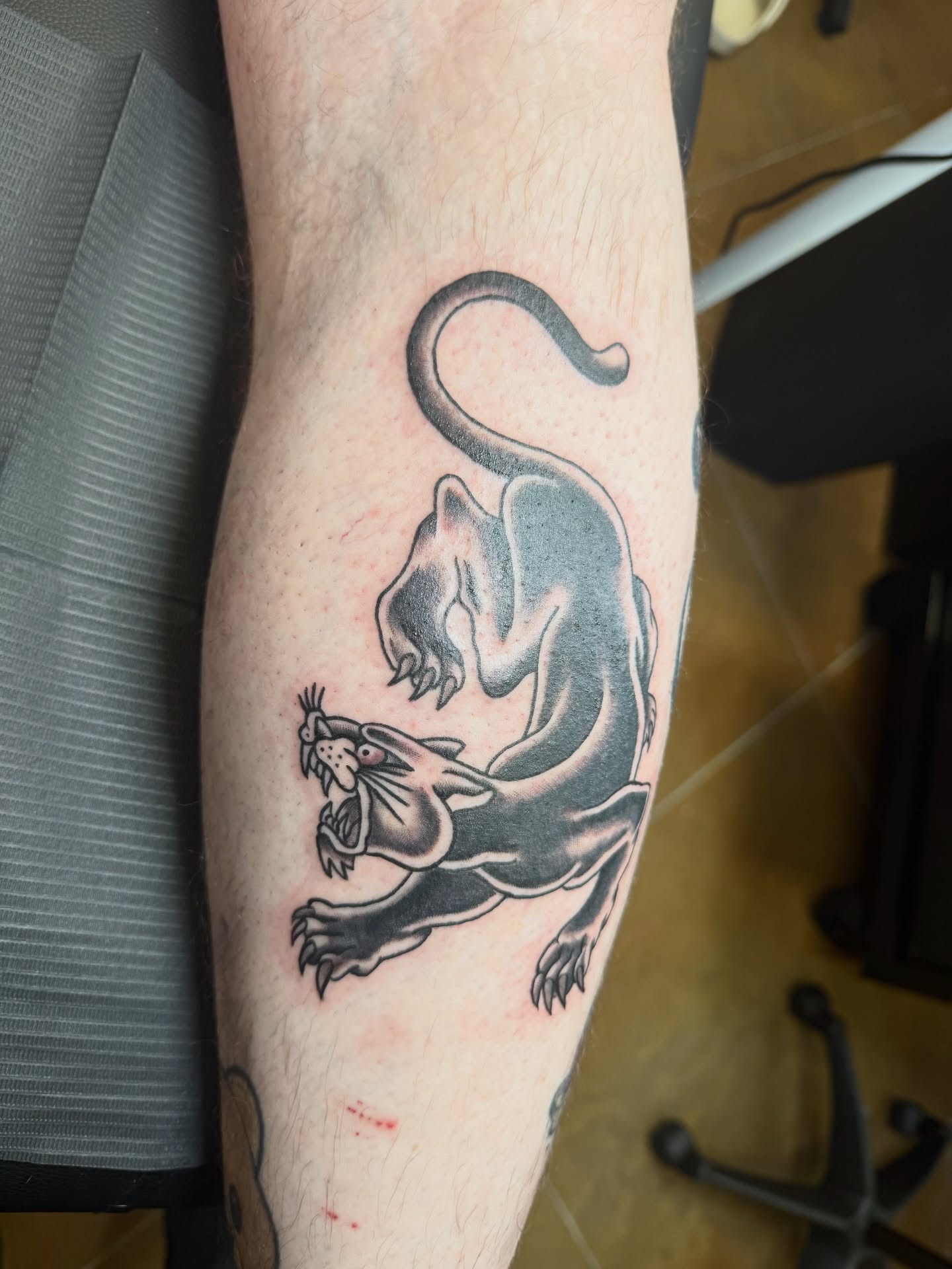 Panther and mouse black and grey tattoo on the forearm by Shay - Mandeville Tattoo Artist