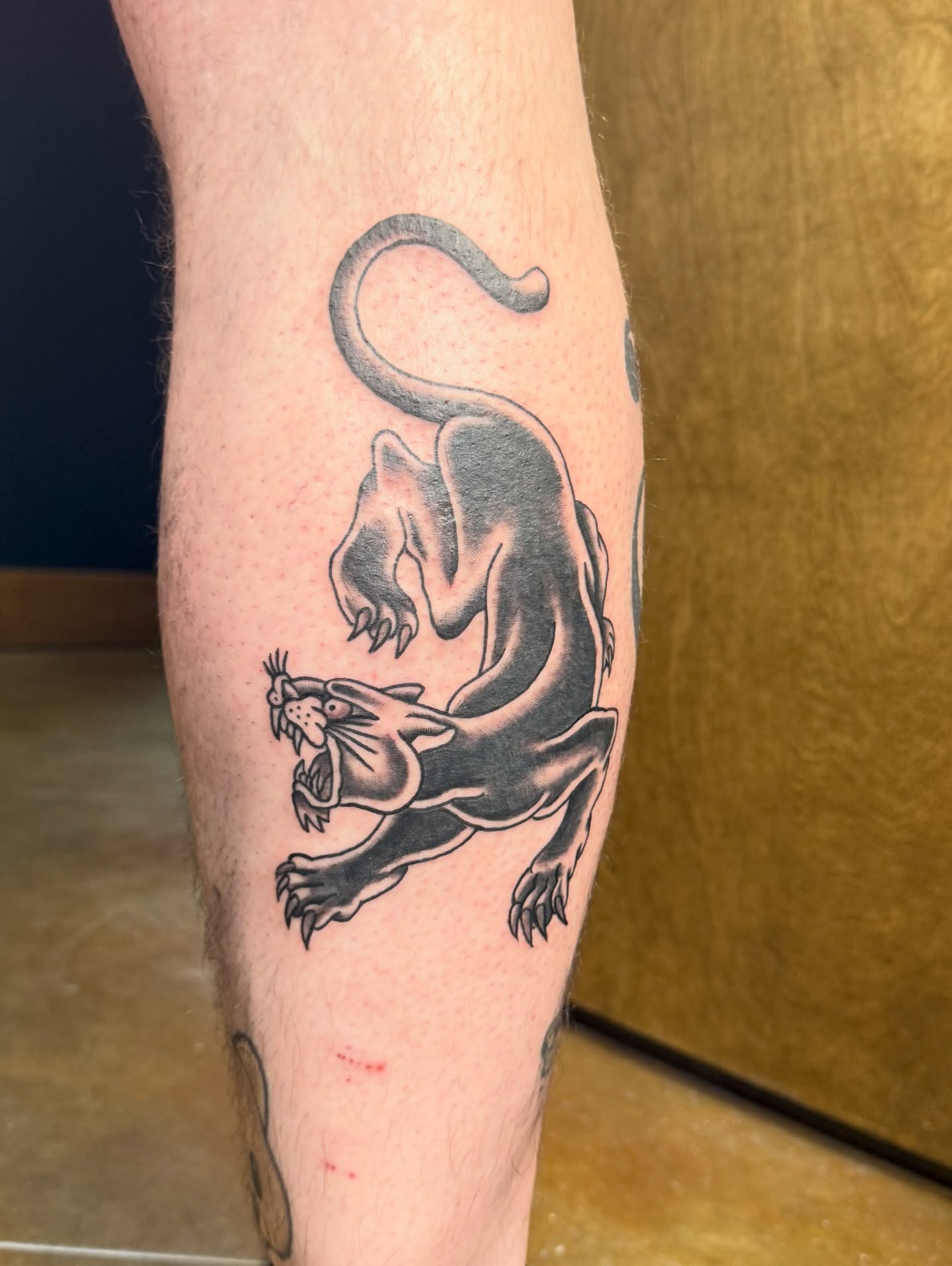 Panther black and grey tattoo on the forearm by Shay - Mandeville Tattoo Artist