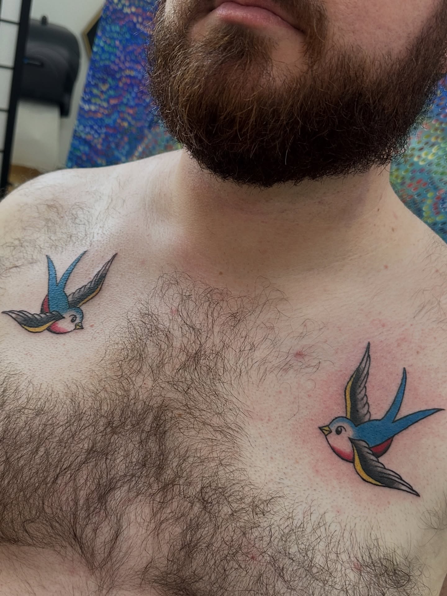 Swallows American traditional tattoo on the chest by julian solis, Houston, Texas