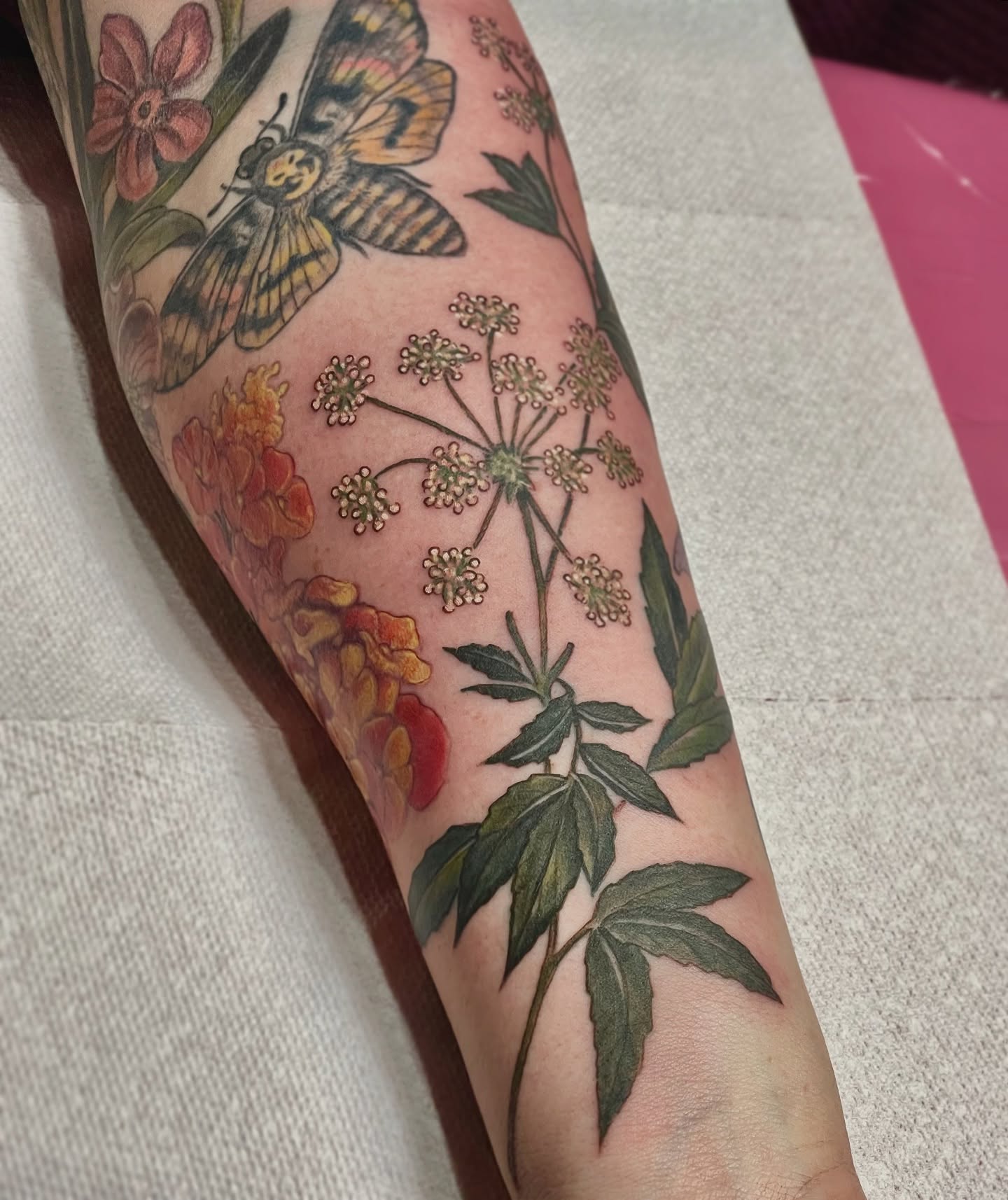 Tattoo by @courtneyann_arts — realism