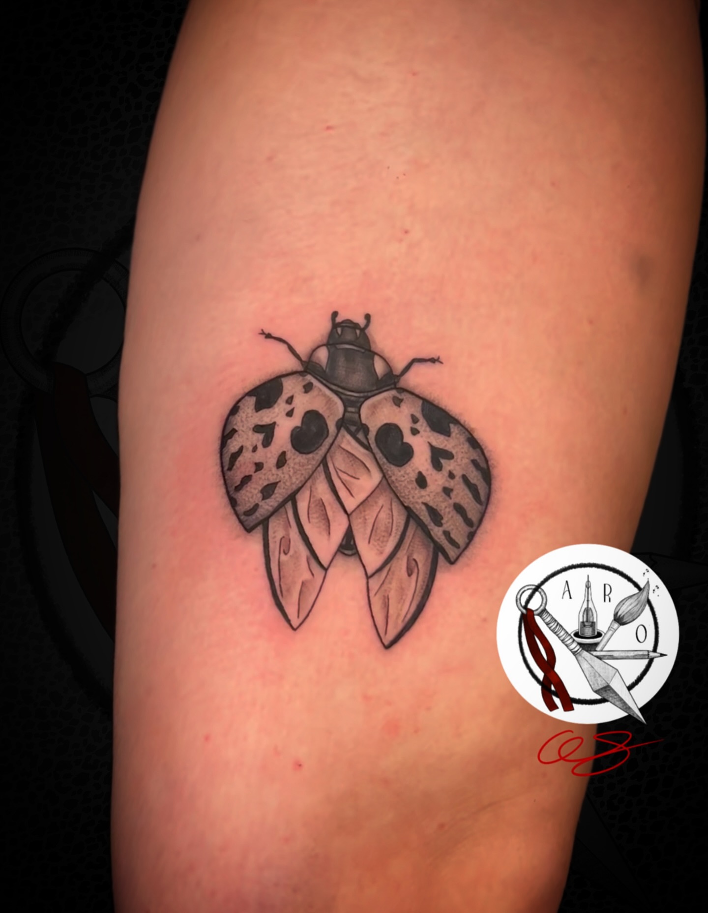 Moth black and grey tattoo on the forearm by Aaron Strobehn