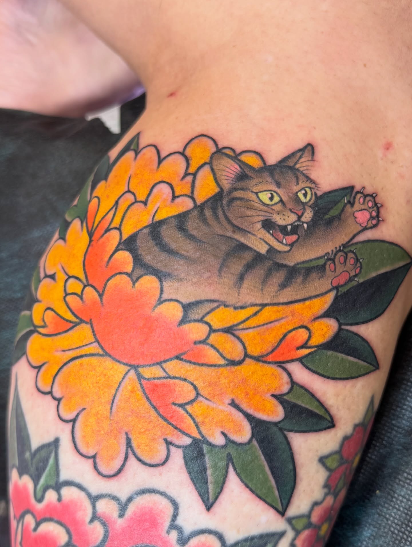 Cat and flower American traditional tattoo on the upper arm by Anna Wall