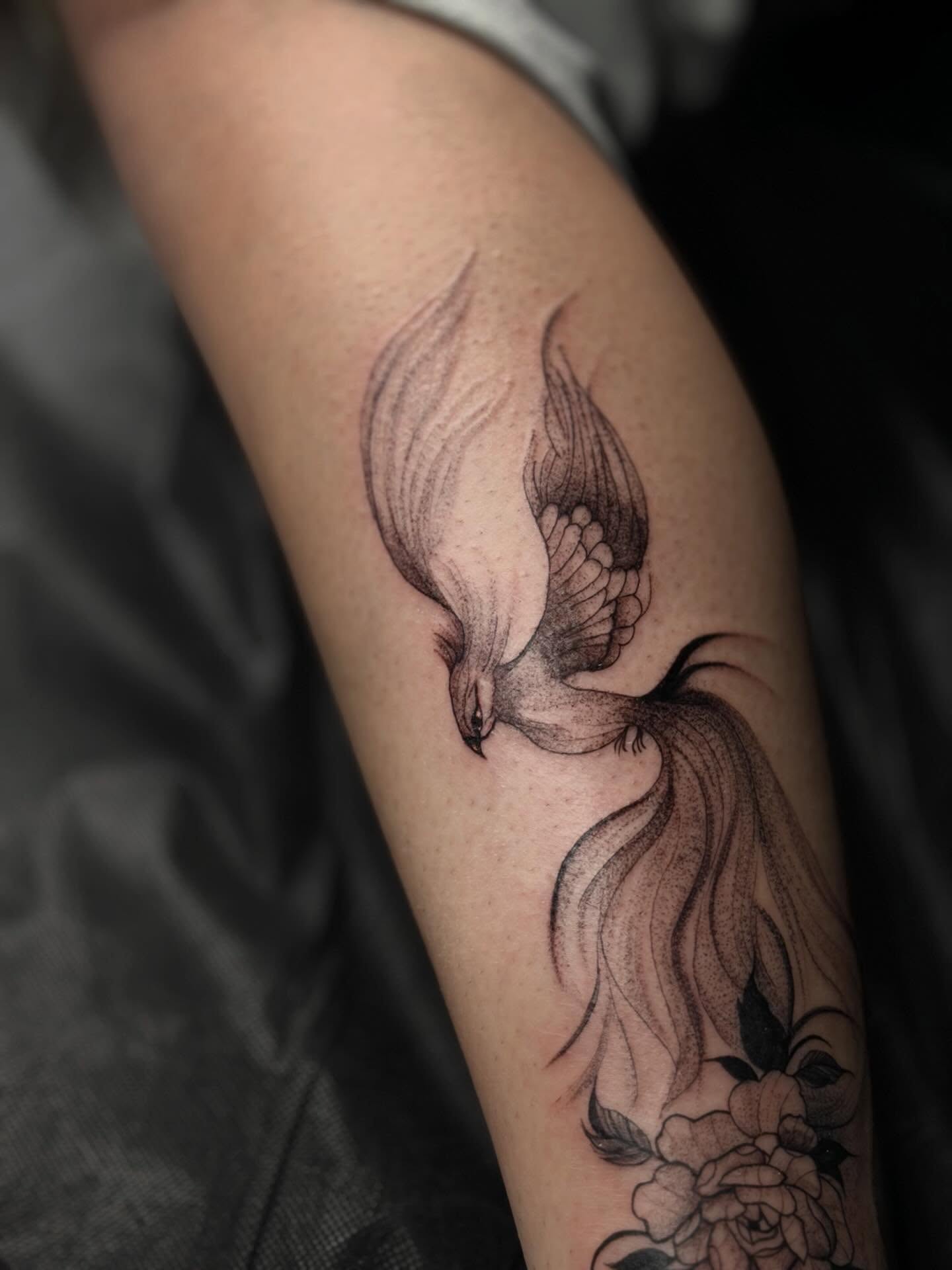 Phoenix black and grey tattoo on the forearm by ᴍᴀɢɢɪᴇ ✧, Las Vegas, Nevada