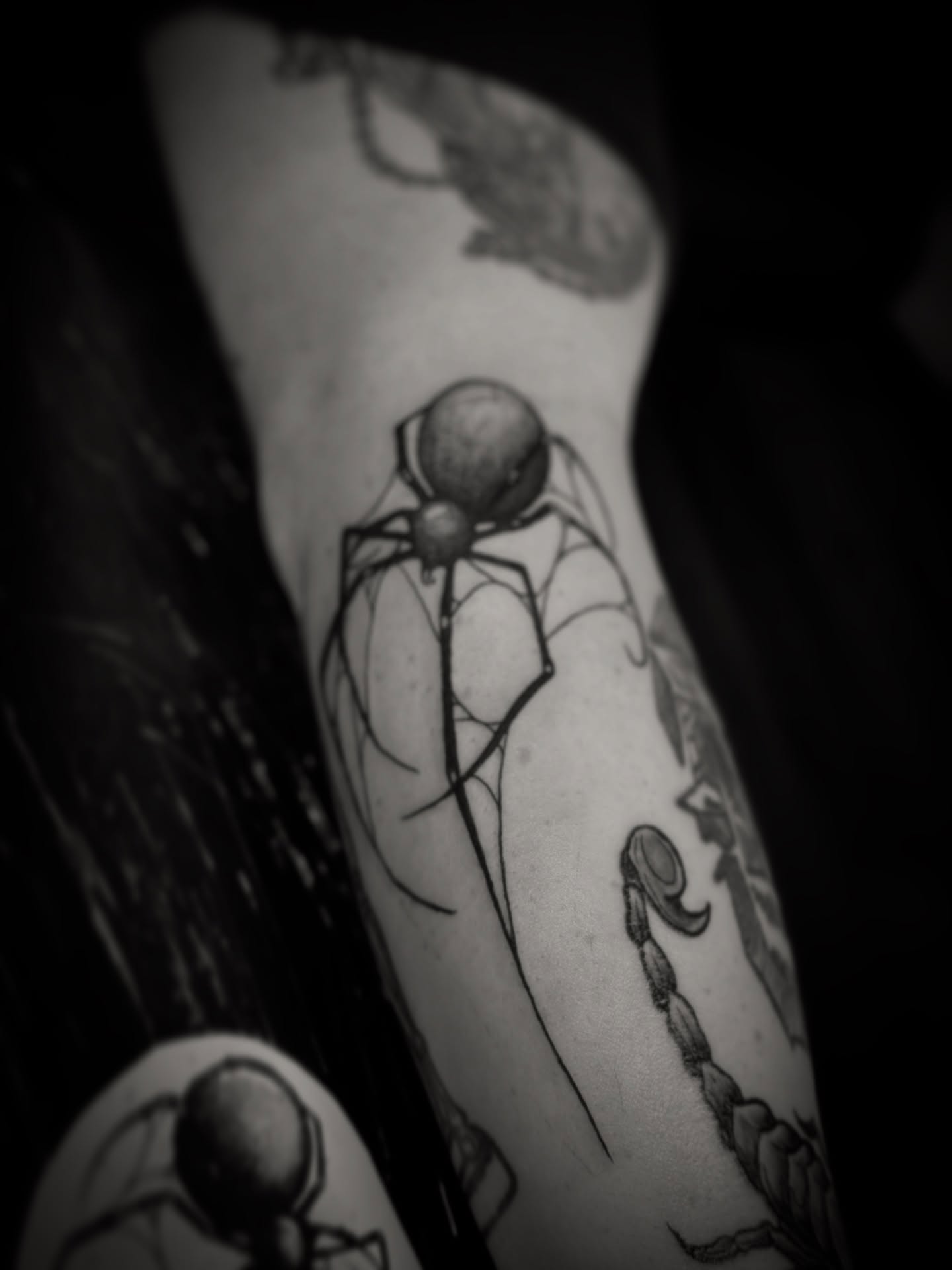 Spider black and grey tattoo on the forearm by Gianna G