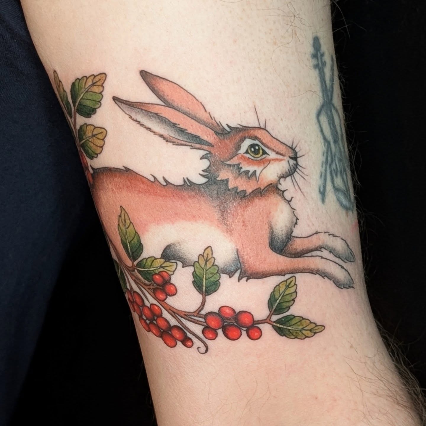 Hare and berries realism tattoo on the forearm by π²π°πket