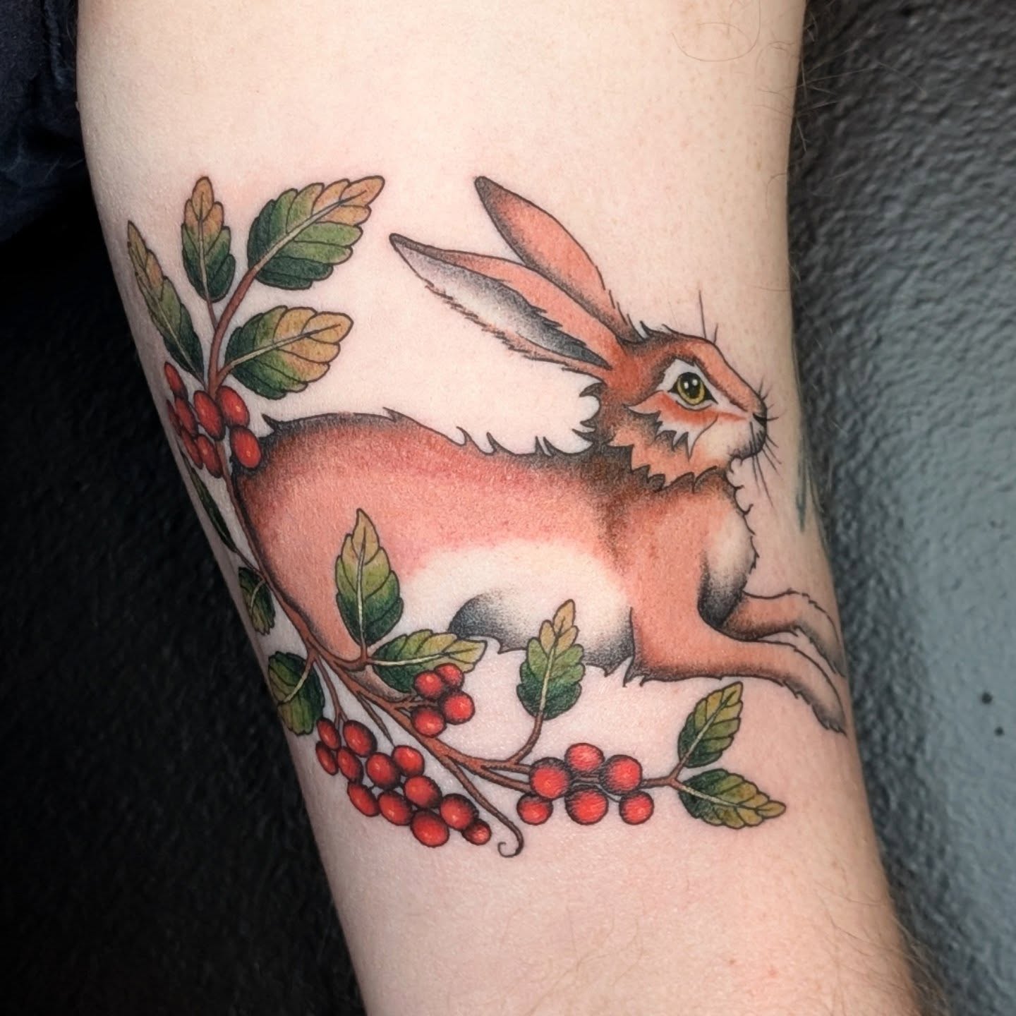 Rabbit and berries realism tattoo on the forearm by π²π°πket