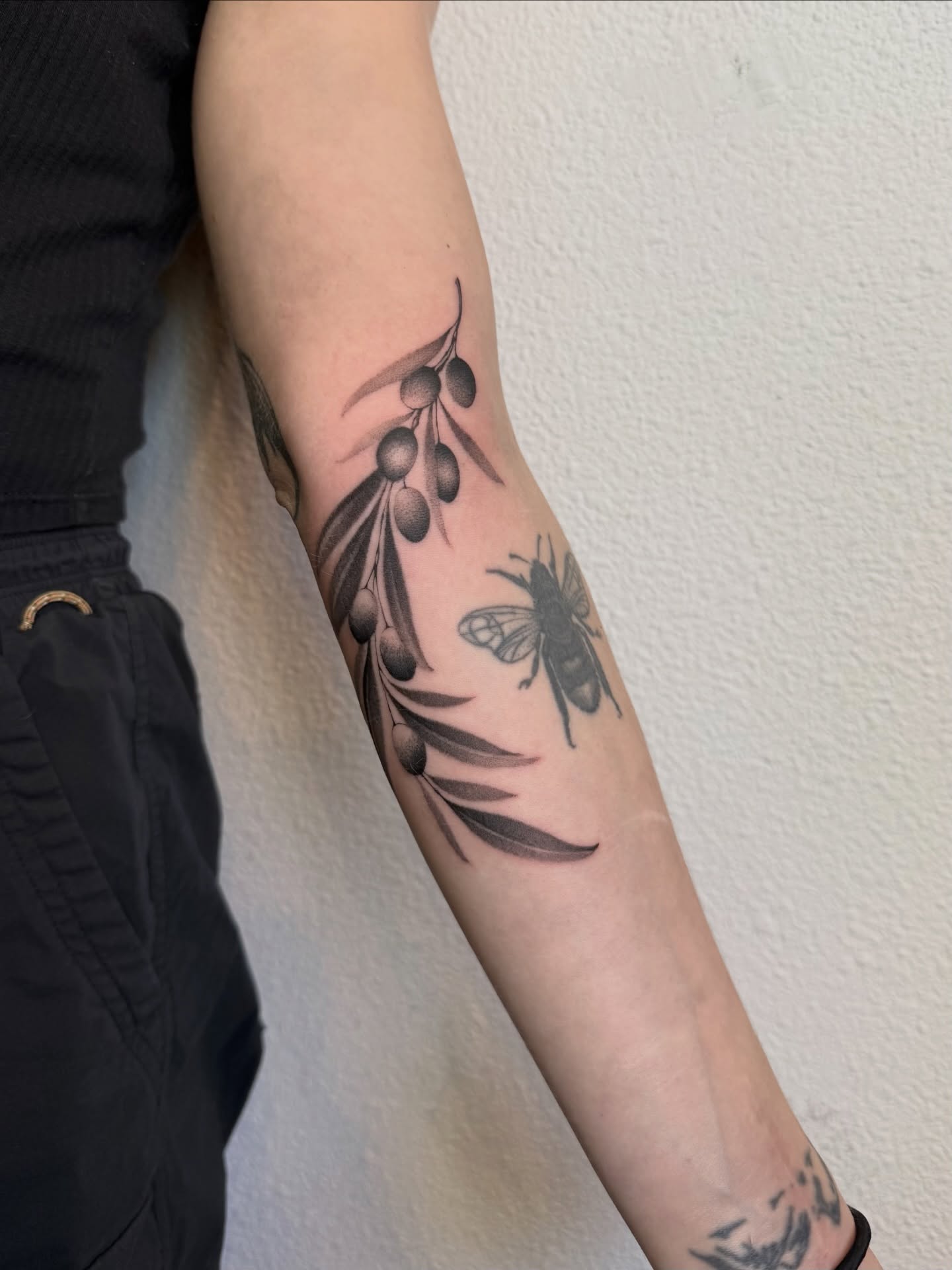 Olive branch and bee black and grey tattoo on the forearm by ᴋᴀᴛᴇ ᯽ ᴘᴀᴄɪᴏᴛᴛɪ