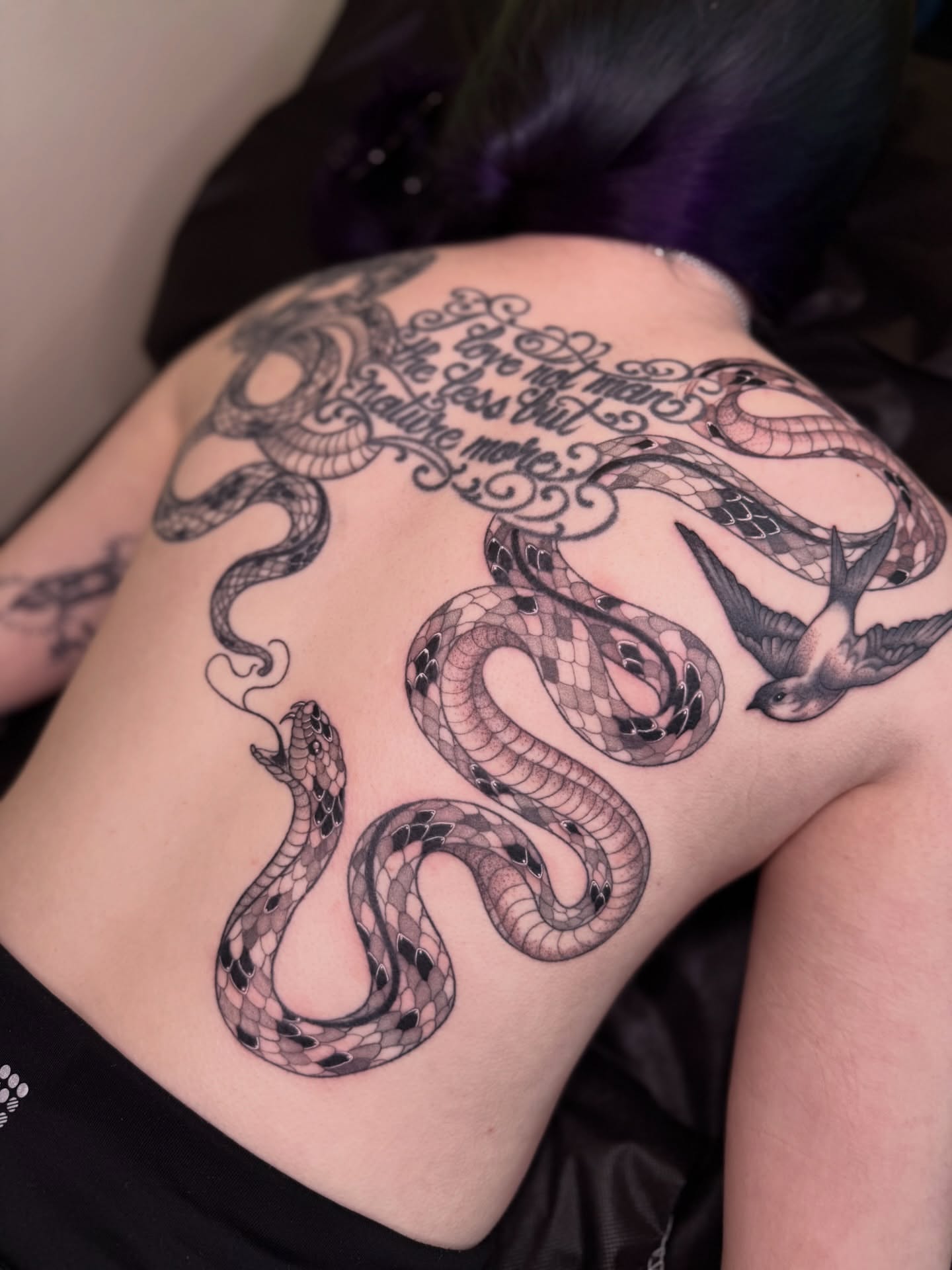 Snake and swallow black and grey tattoo on the back by Jena Perry
