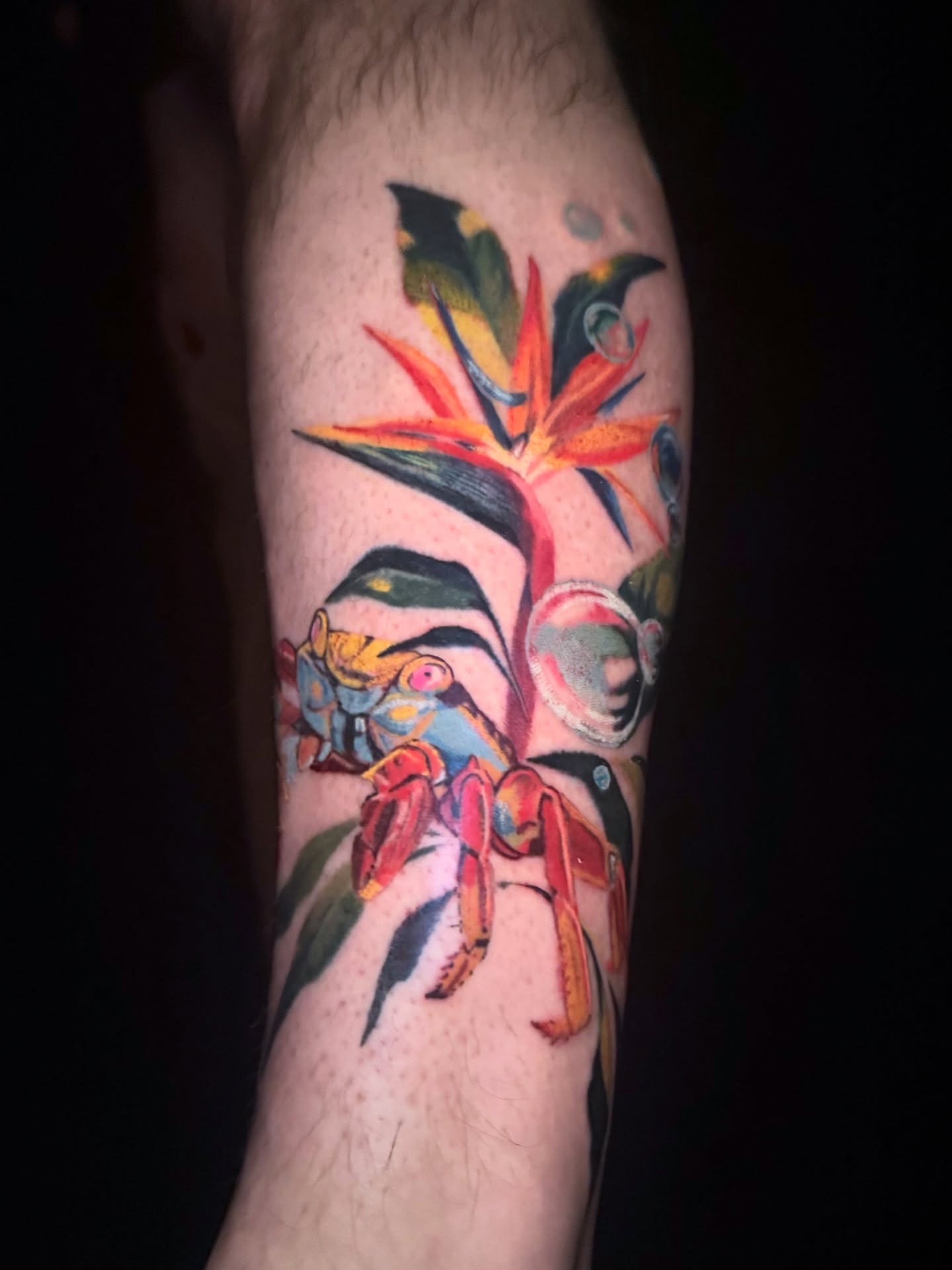 Bird of paradise flower new school tattoo on the forearm by Sam Minter, Grafton, Massachusetts