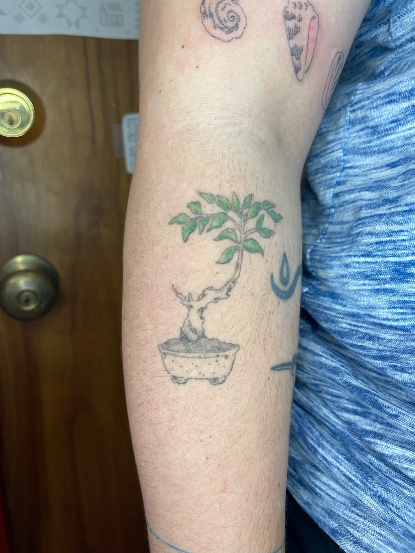 Bonsai tree dotwork tattoo on the forearm by cait