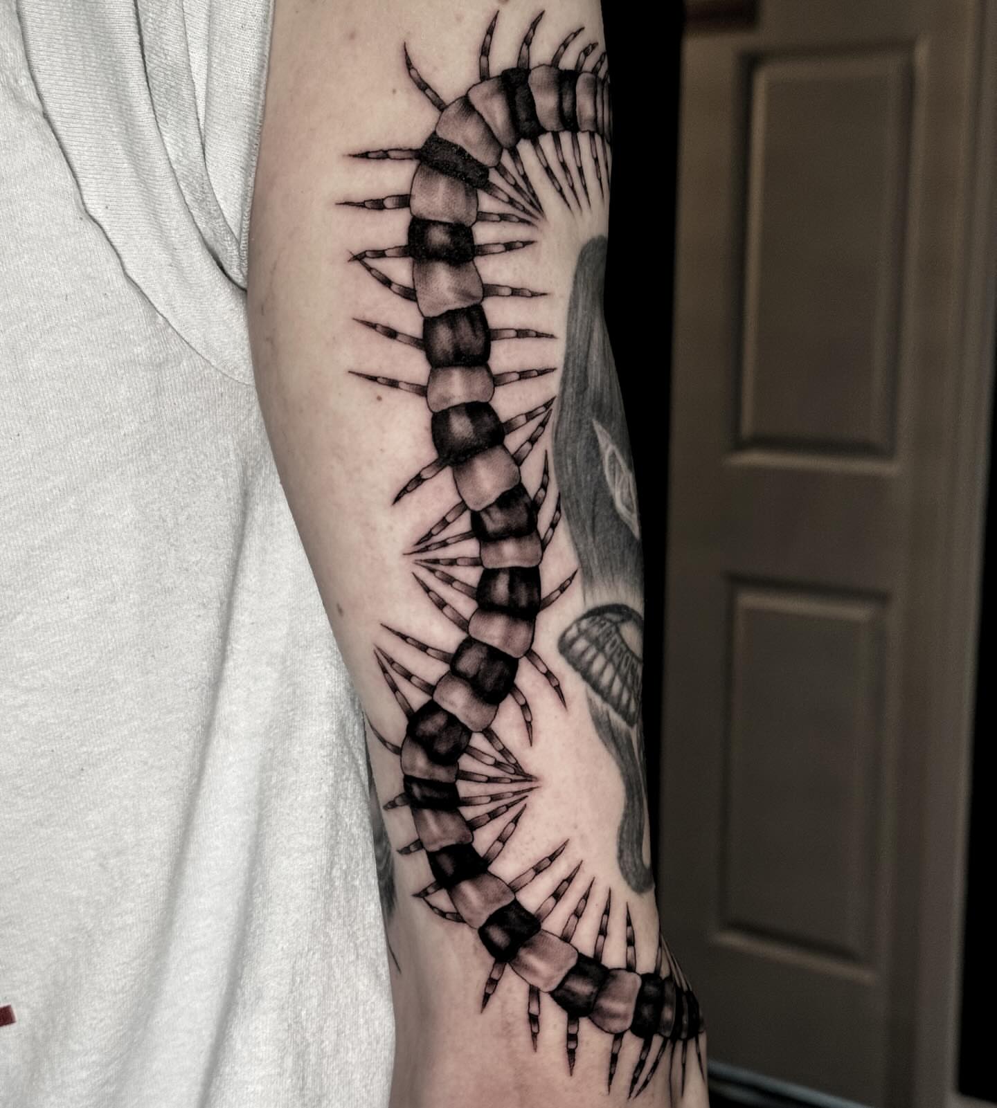Tattoo by @killjoystabs β black_and_grey, realism