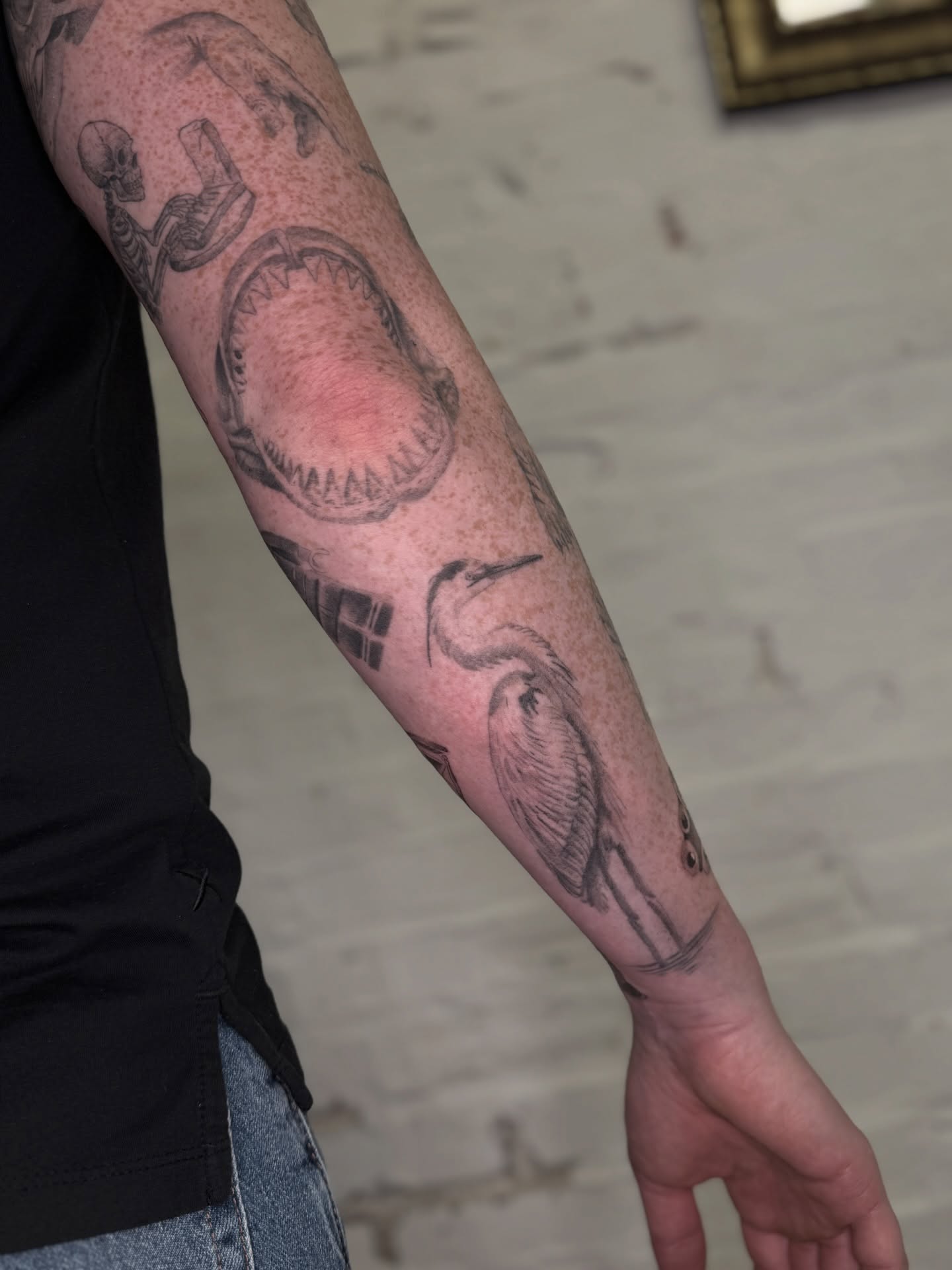 Shark and crane black and grey tattoo on the forearm by Josh Infante