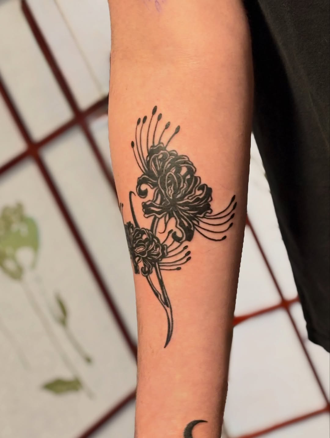 Spider lily fine line tattoo on the forearm by CJ