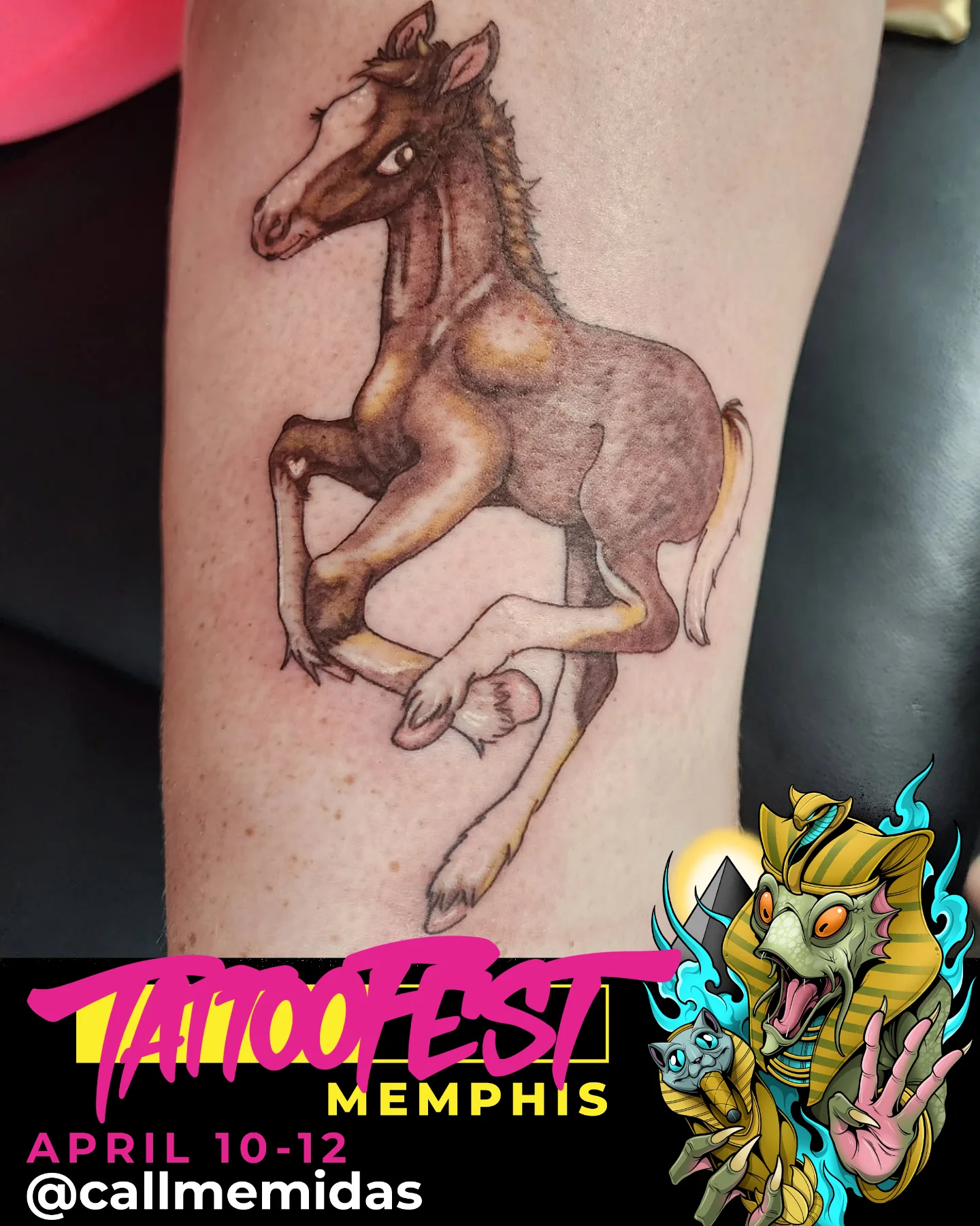 Horse realism tattoo on the forearm by K.F. Golden