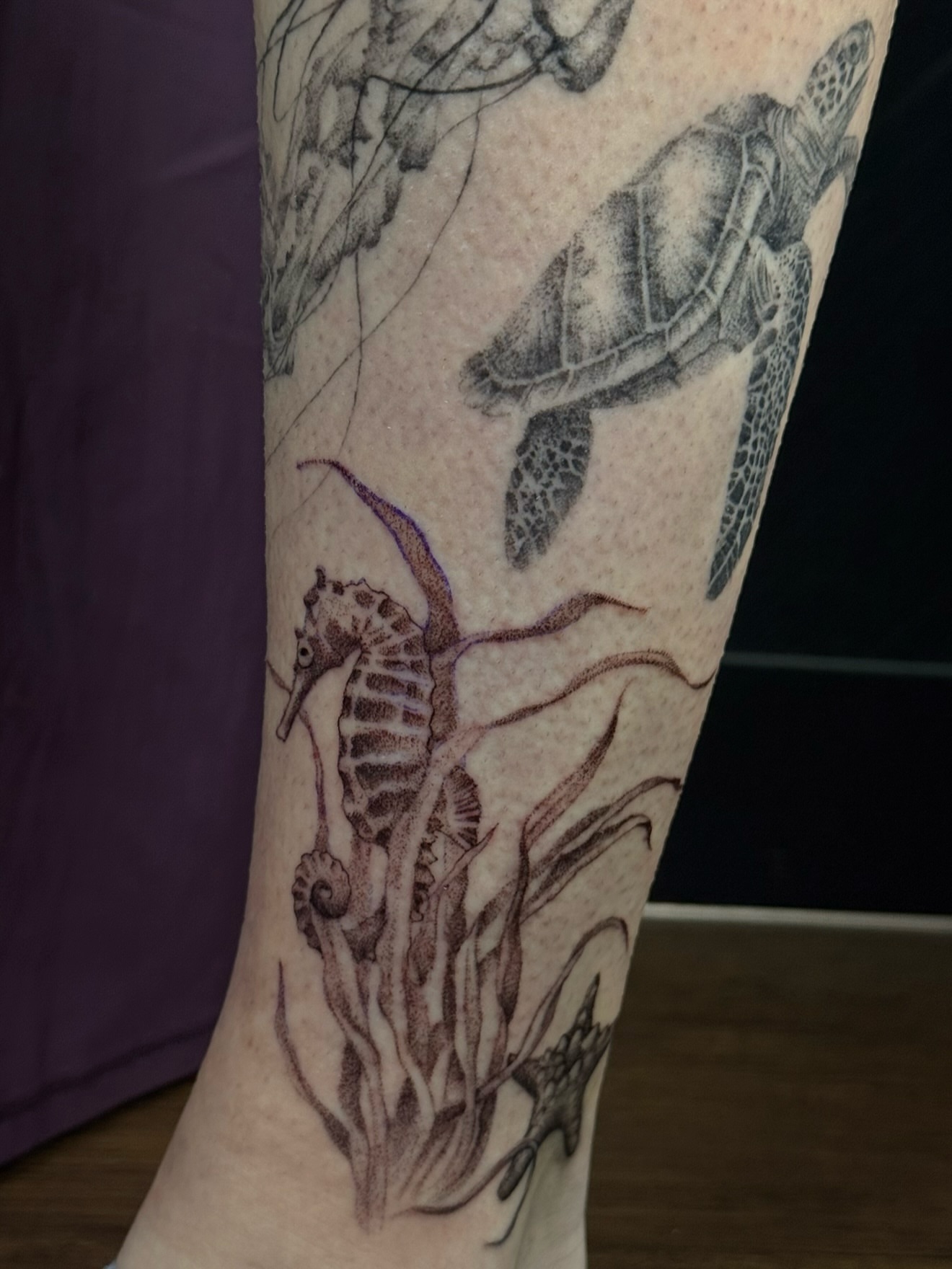 Seahorse and turtle realism tattoo on the forearm by Alyssa Fazzino ⟡ CT Tattoo Artist, Rocky Hill, Connecticut