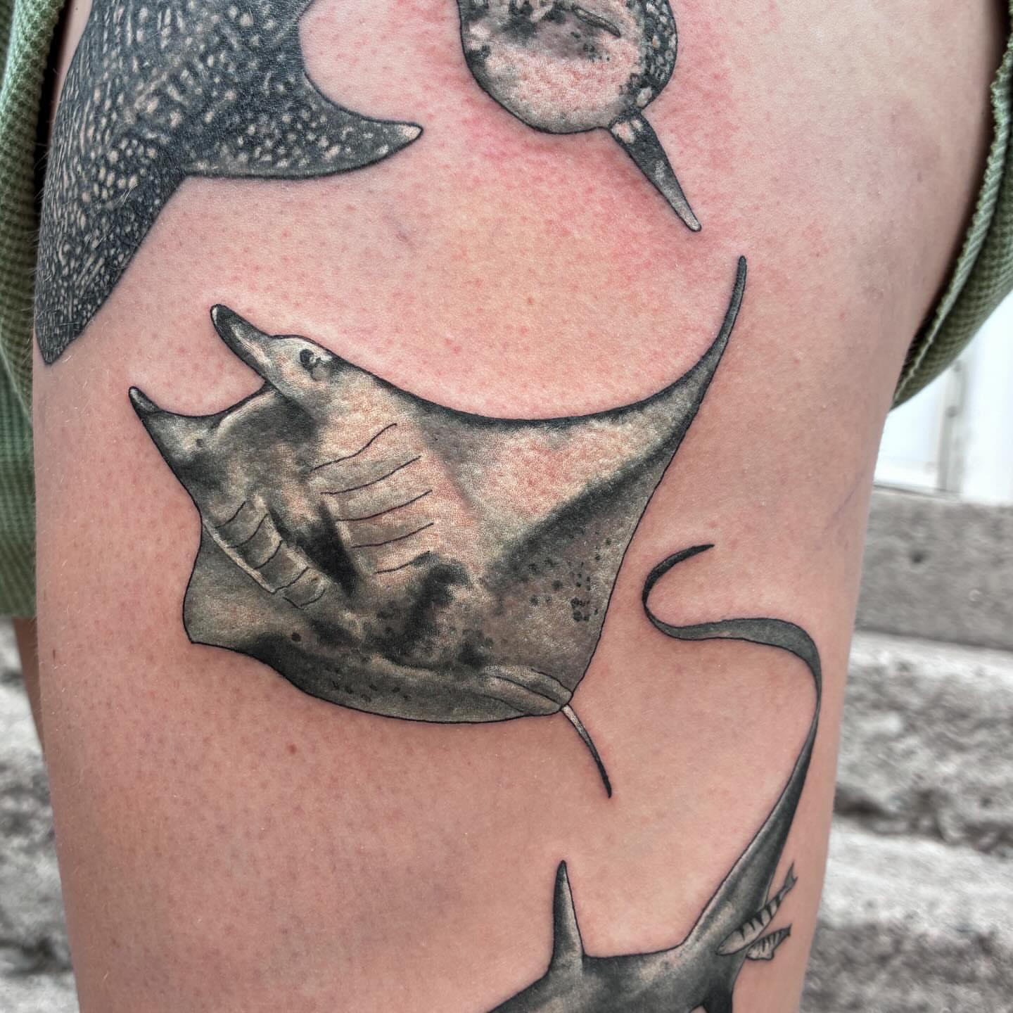 Ray black and grey tattoo on the upper arm by Linzi Hungerford, Bozeman, Montana