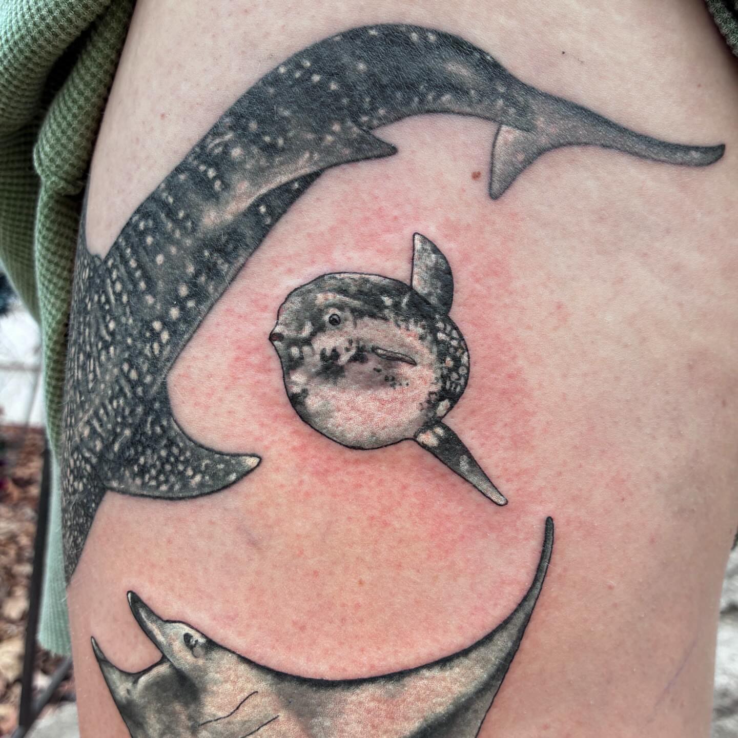 Whale shark dotwork tattoo on the thigh by Linzi Hungerford, Bozeman, Montana