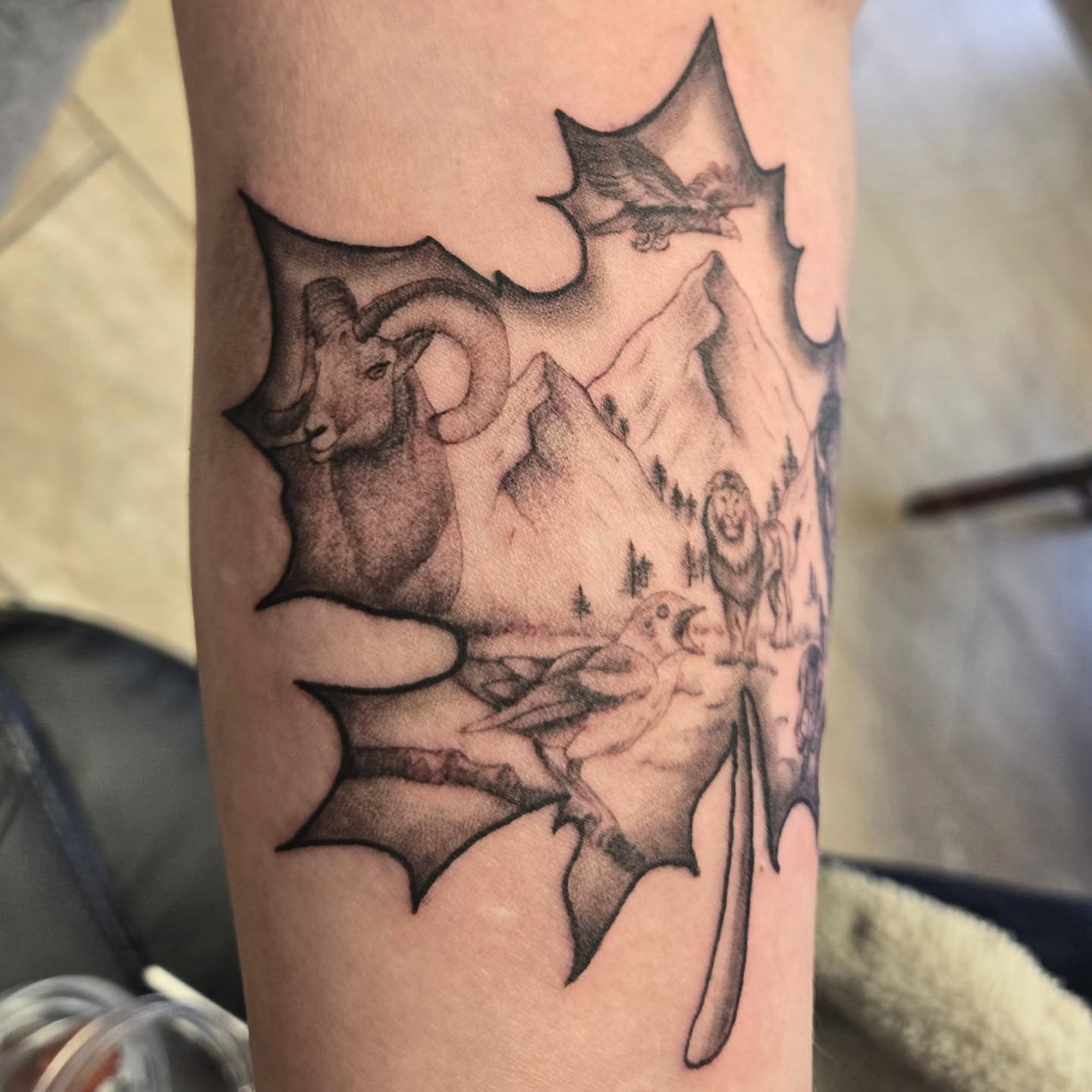 Mountain landscape realism tattoo on the forearm by Jose G. Rubio Tattoo Artist πΊπ²ππ¨π¦