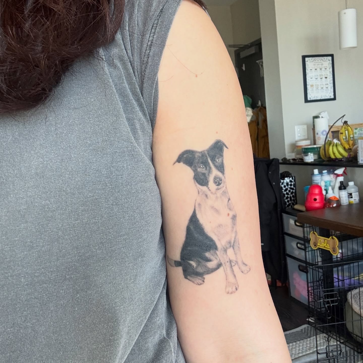 Dog realism tattoo on the forearm by bre
