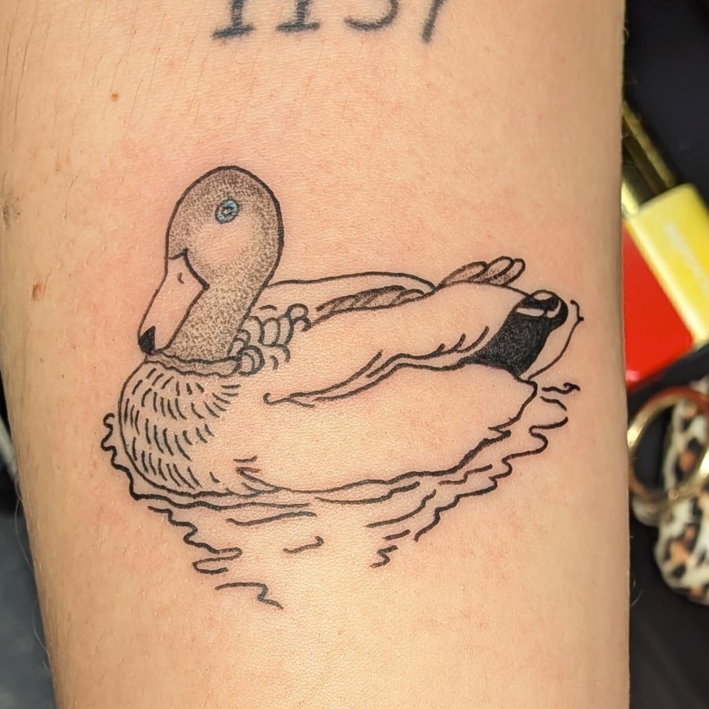 Duck dotwork tattoo on the forearm by Kam