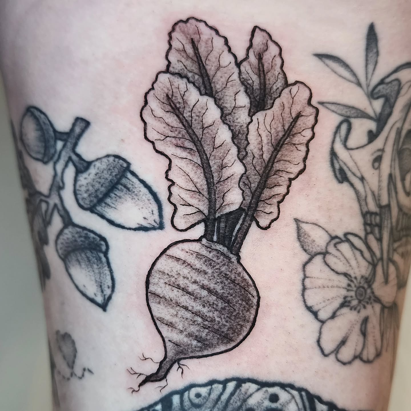 Beetroot black and grey tattoo on the forearm by Lindsey Andrew, Englewood, Colorado