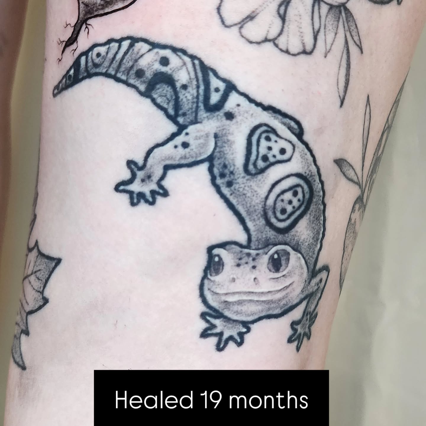 Tattoo by Lindsey Andrew, tattoo artist, Englewood, Colorado