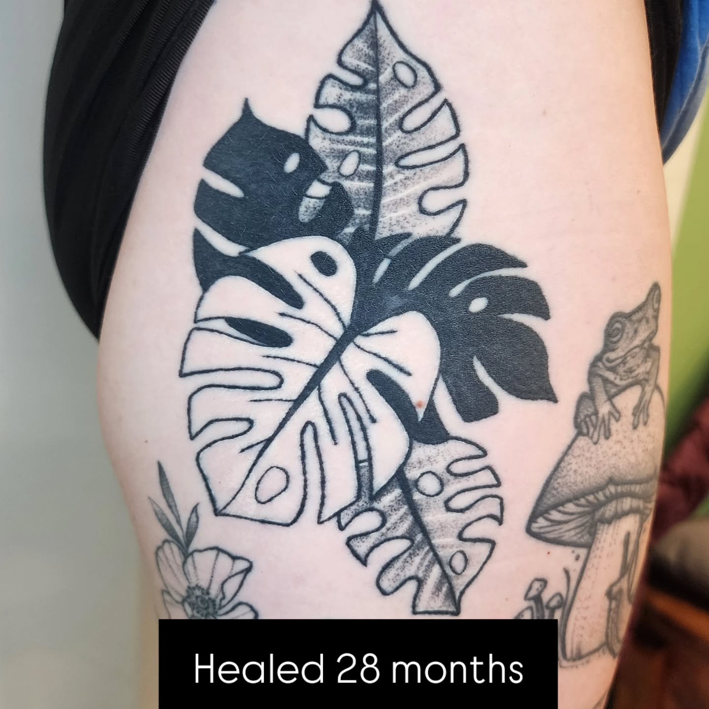 Monstera leaves dotwork tattoo on the upper arm by Lindsey Andrew, Englewood, Colorado