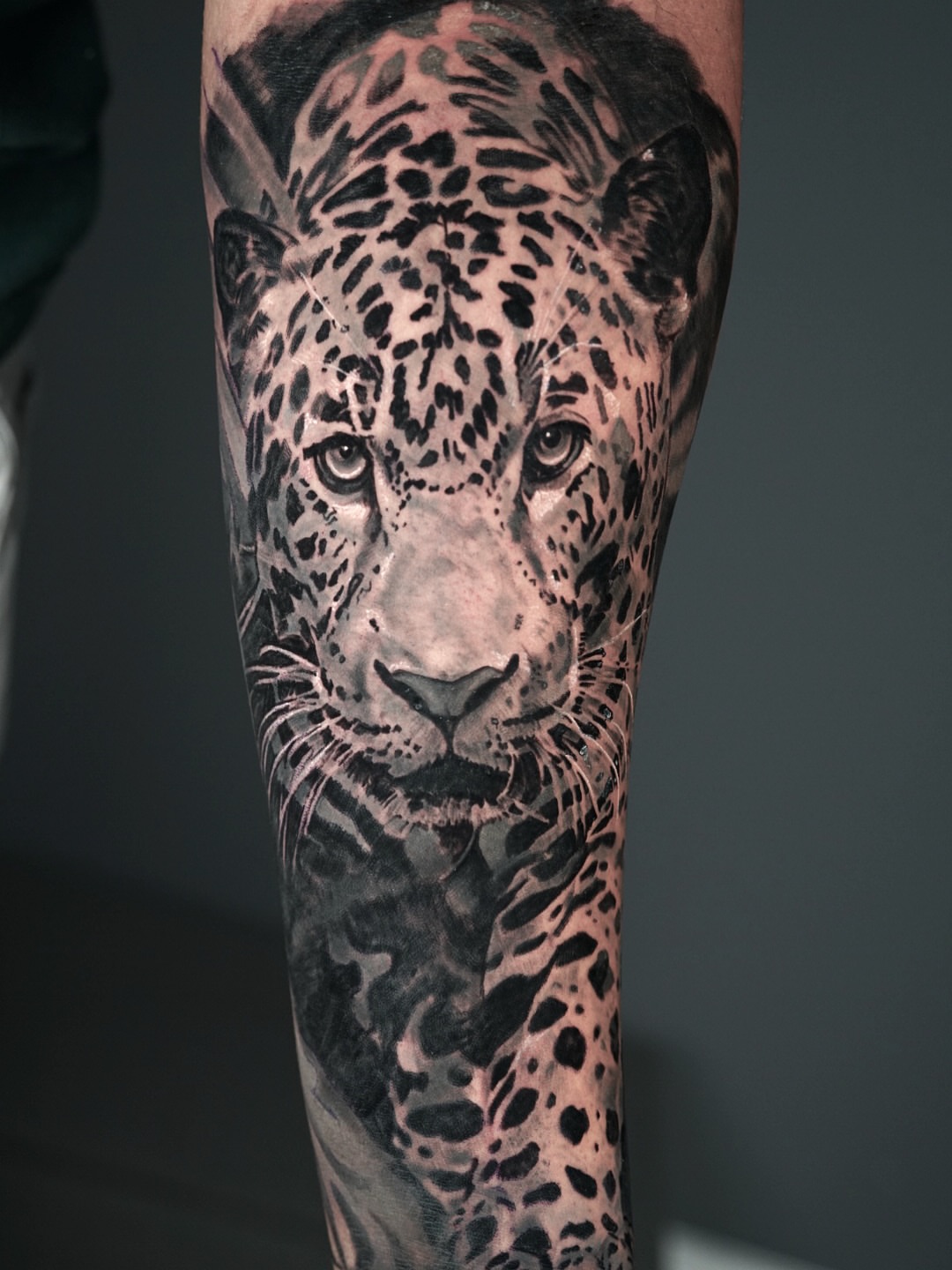 Jaguar realism tattoo on the forearm by Jose Carlos