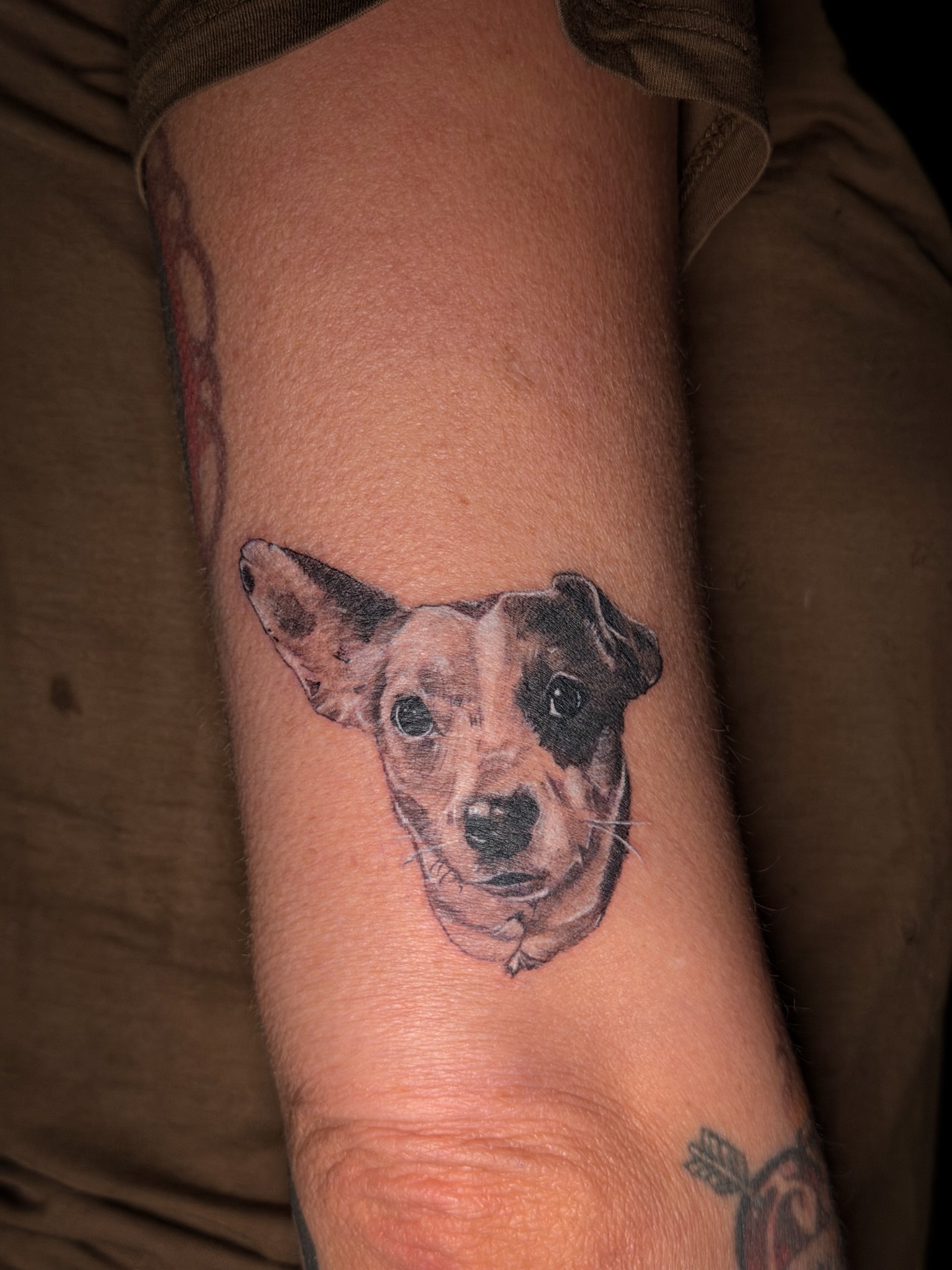 Tattoo by @inkedbyneet — realism