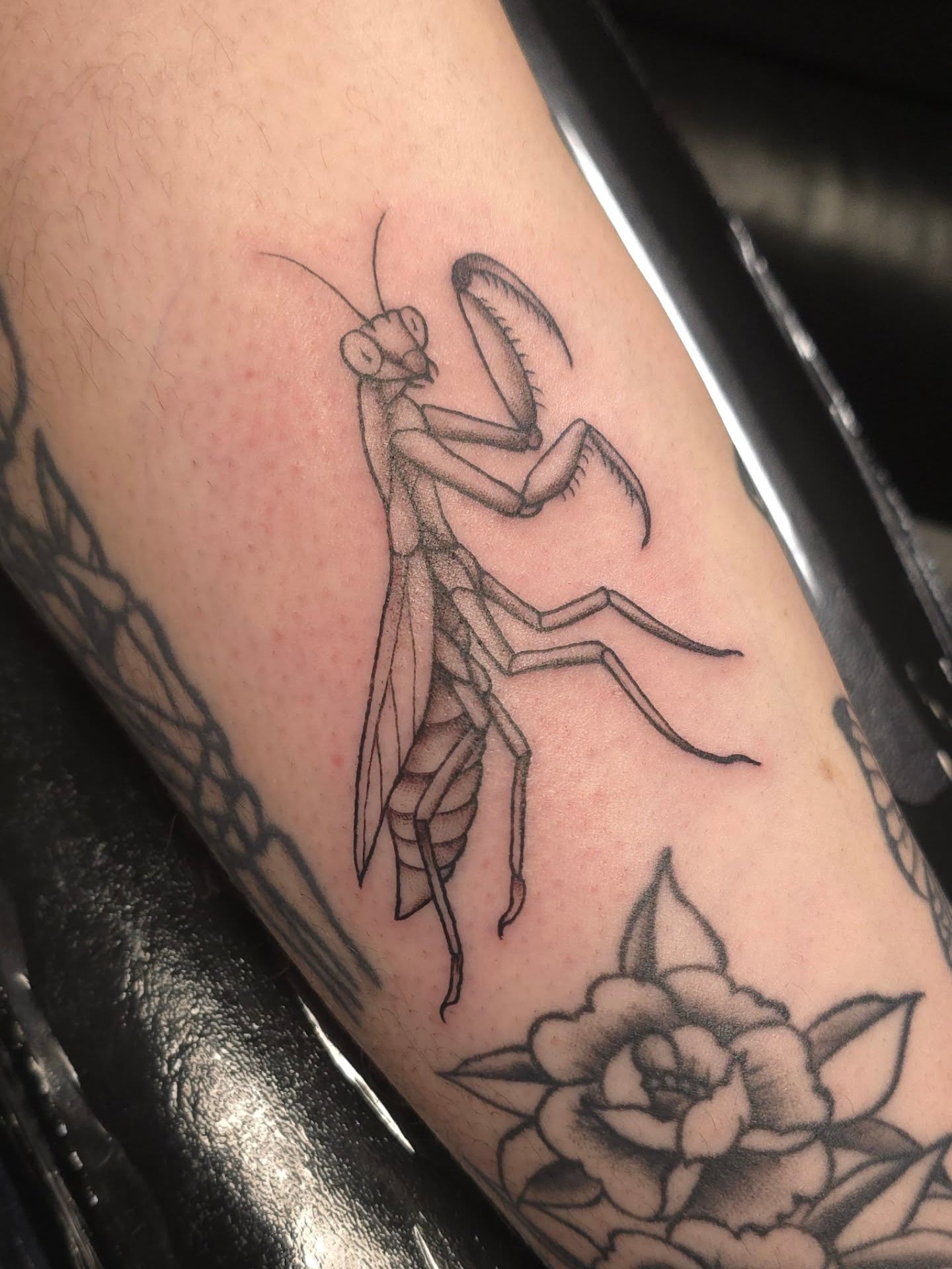 Praying mantis black and grey tattoo on the forearm by Trinity