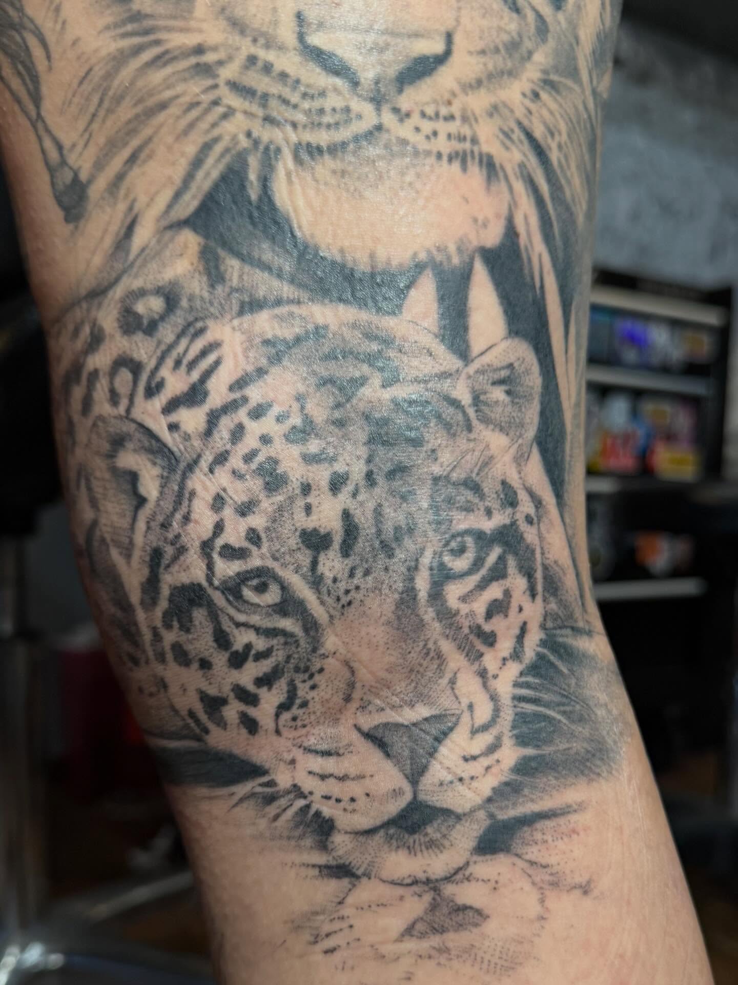Jaguar realism tattoo on the forearm by Michela's Tattoo's