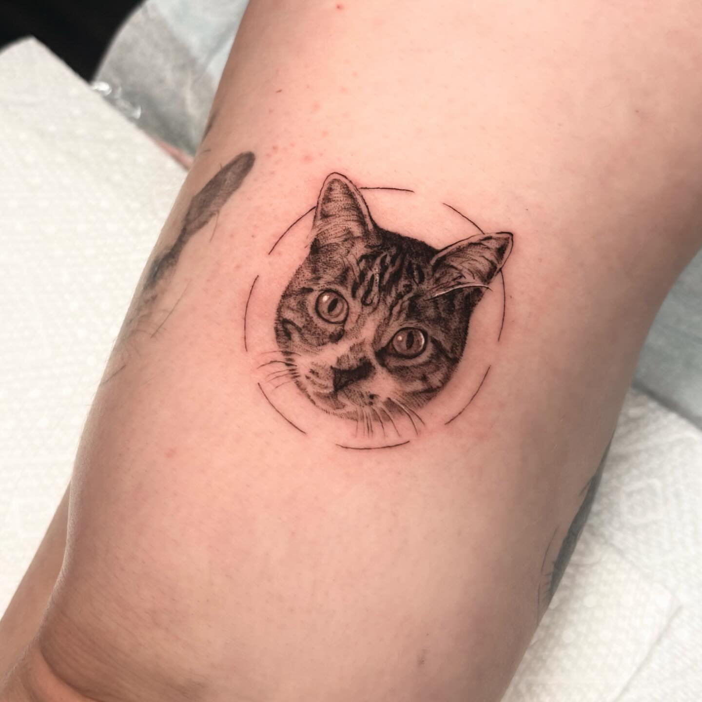 Tattoo by @themerriestofsummers — dotwork, realism