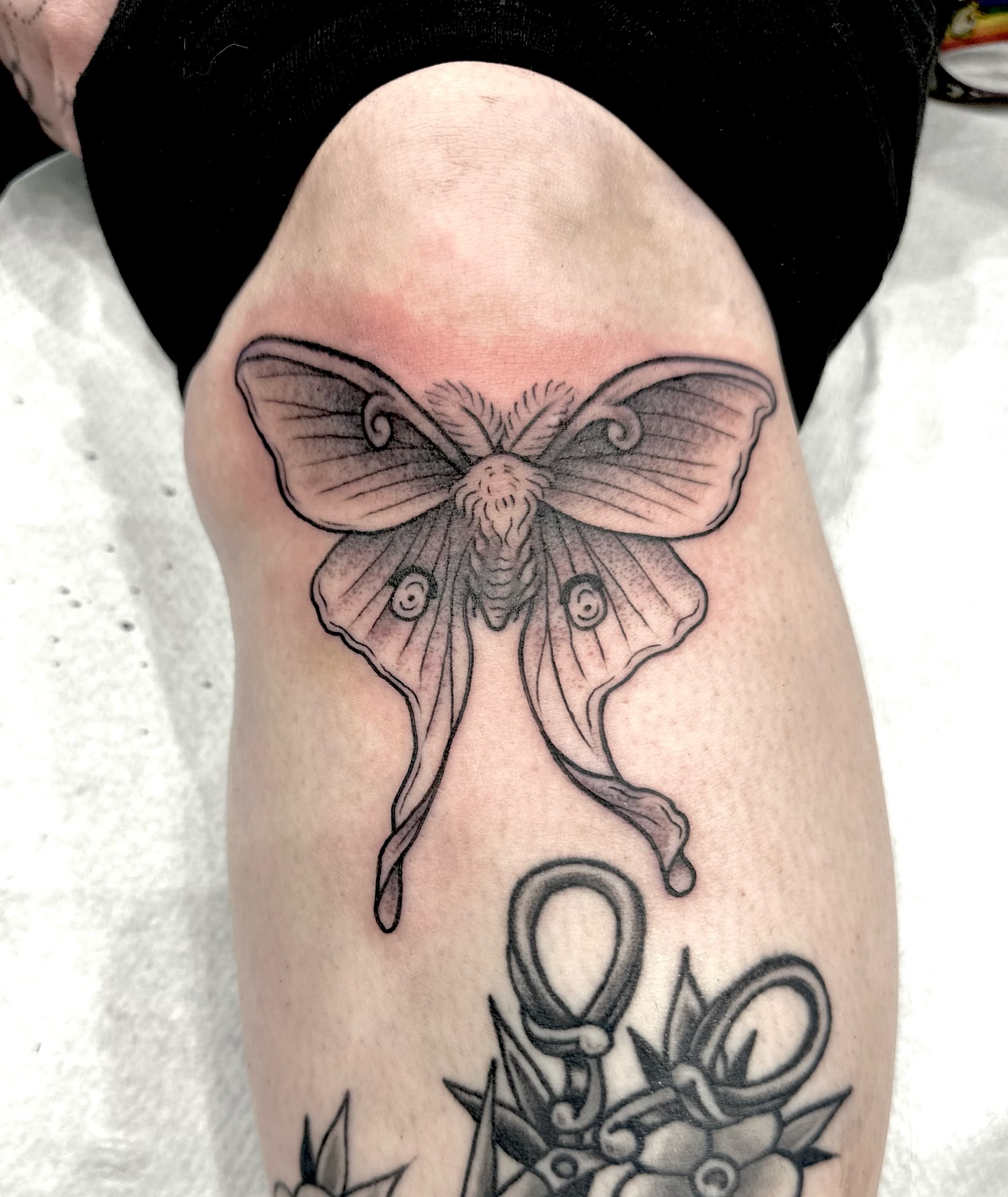 Moth black and grey tattoo on the thigh by Stacy Fevinger