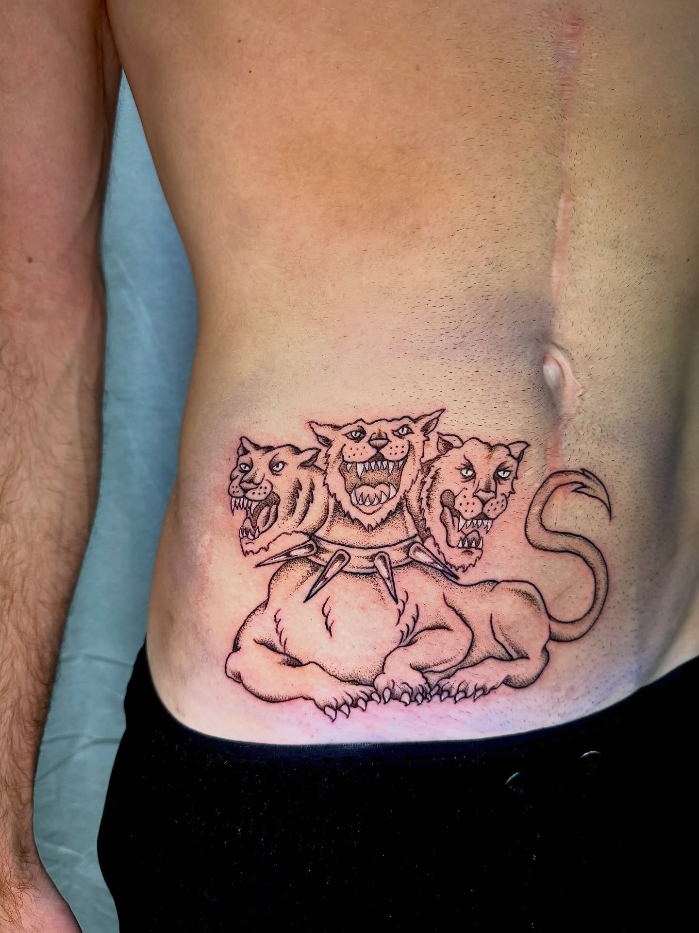 Three-headed lion black and grey tattoo on the ribs by Noah Vincent Tattoo, Vancouver, Washington