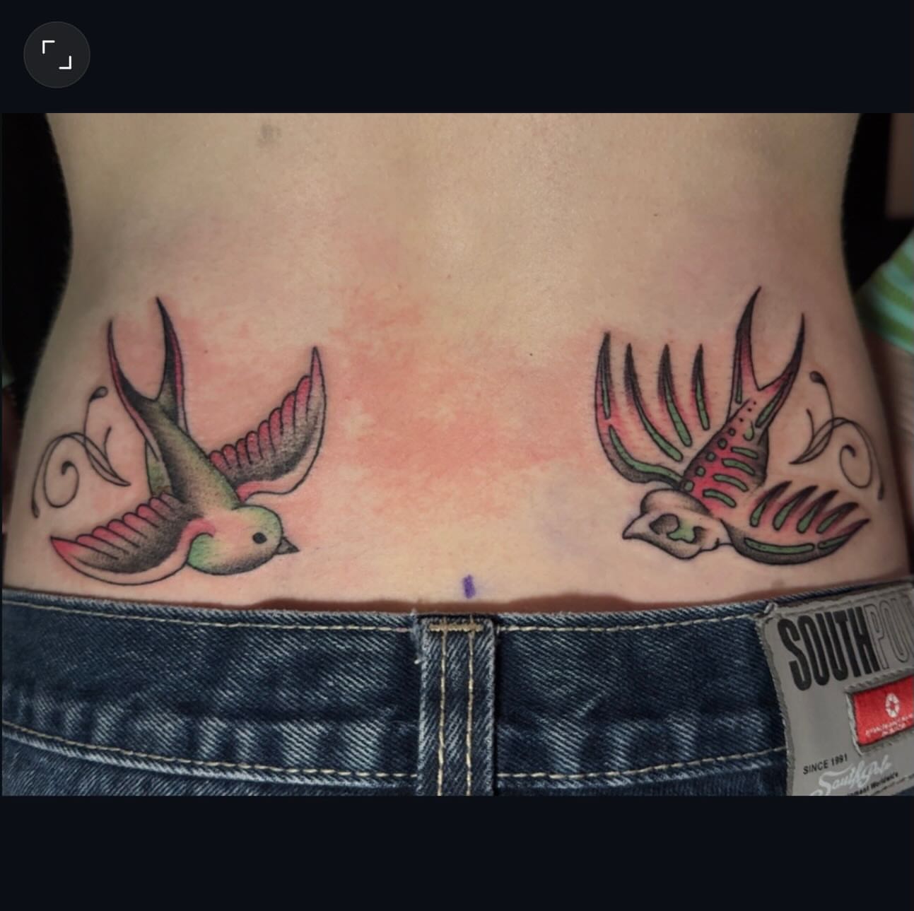 Swallows neo-traditional tattoo on the torso by Lindsay