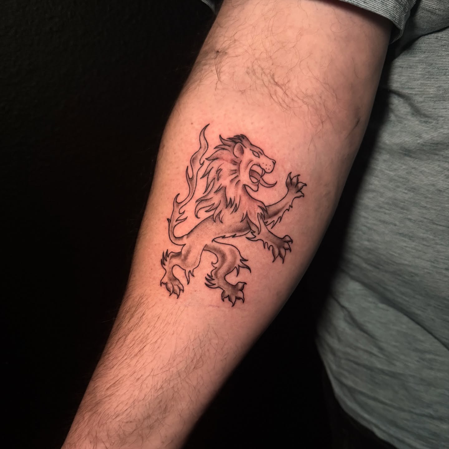 Lion black and grey tattoo on the forearm by Lauren B