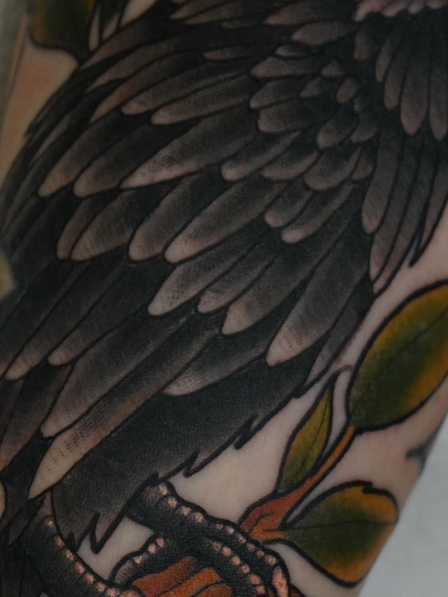 Bird wing American traditional tattoo on the upper arm by Tyler Harrington