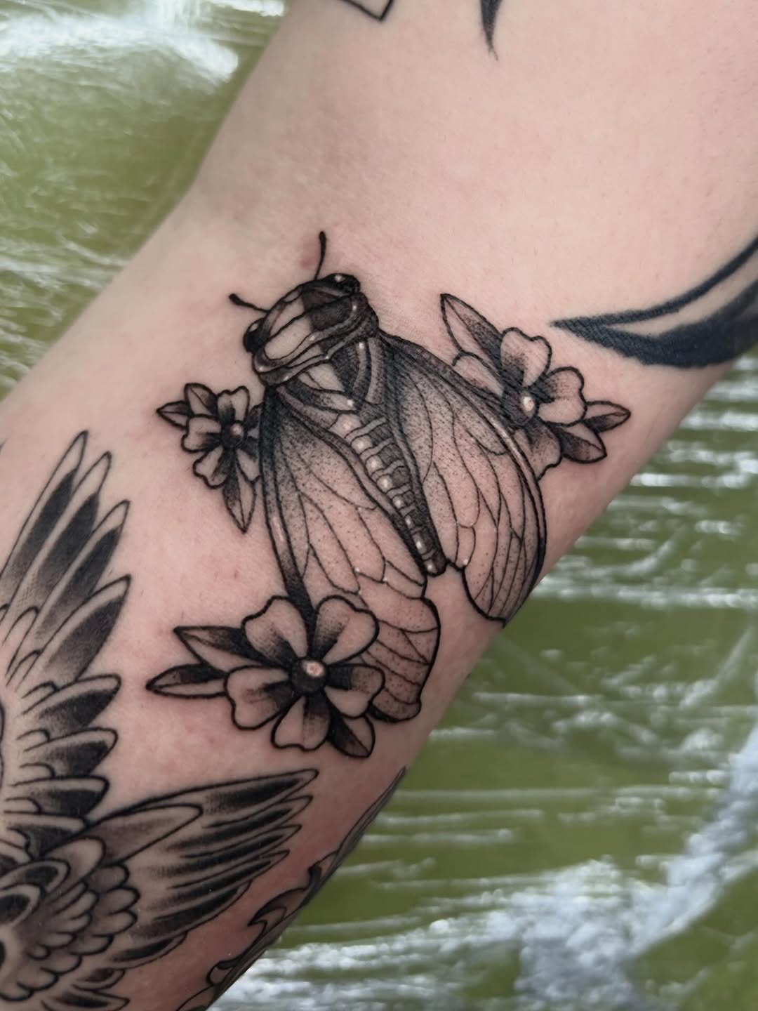 Tattoo by @gloomberrytattoos โ black_and_grey, realism