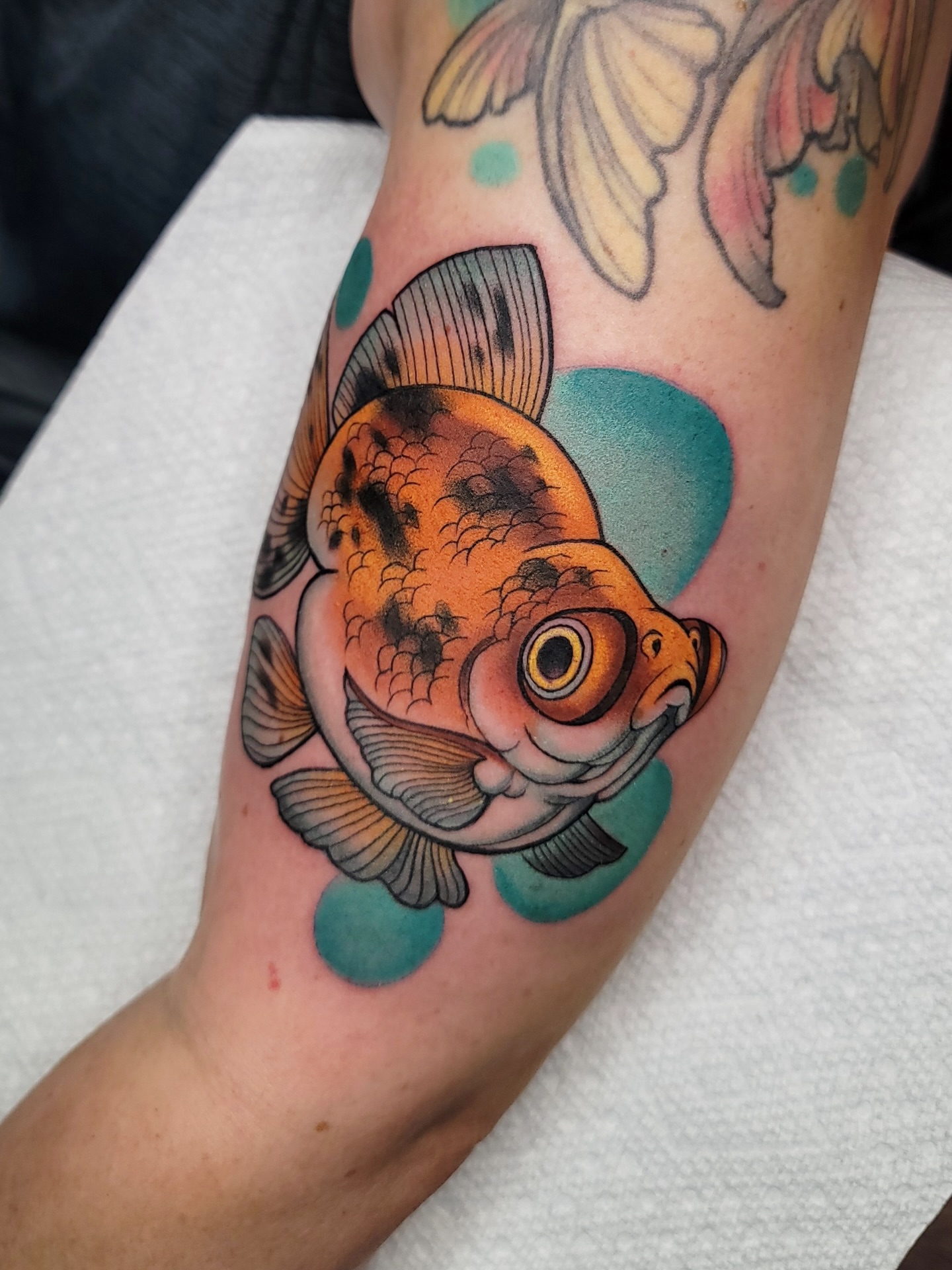 Tattoo by @scarpo — american_traditional