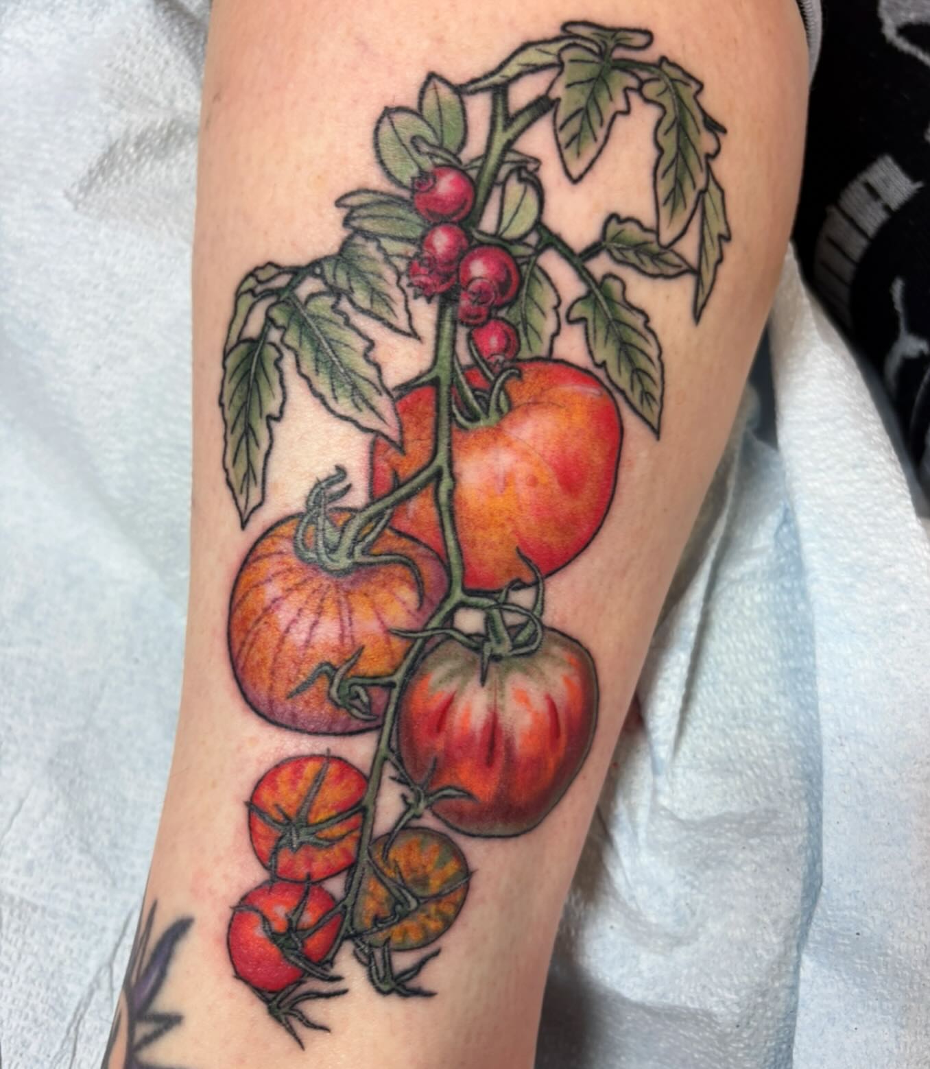 Tomatoes realism tattoo on the forearm by dayton skuse, Portland, Oregon