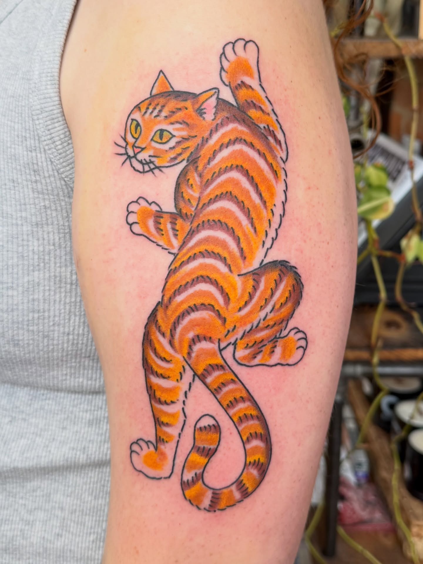 Cat American traditional tattoo on the thigh by Zak Colburn