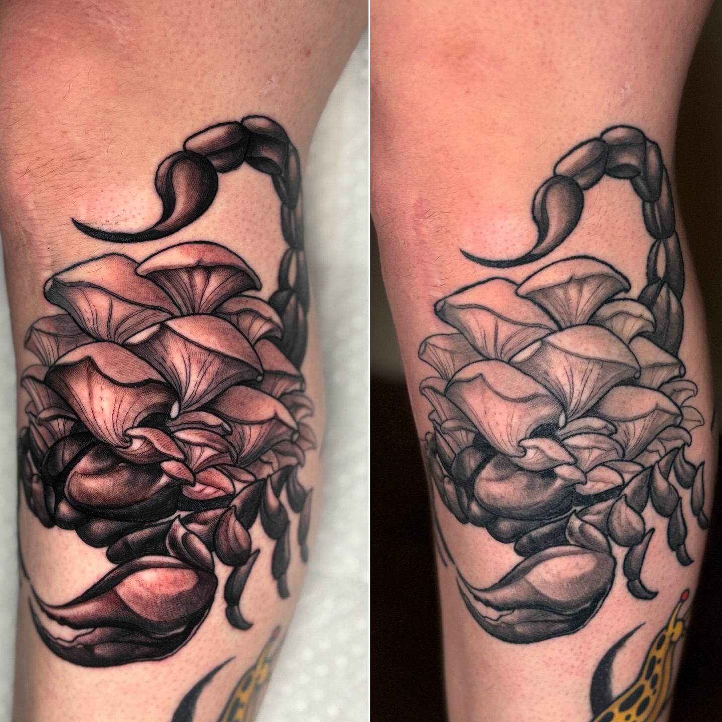 Tattoo by @tonyluceroart — black_and_grey, realism